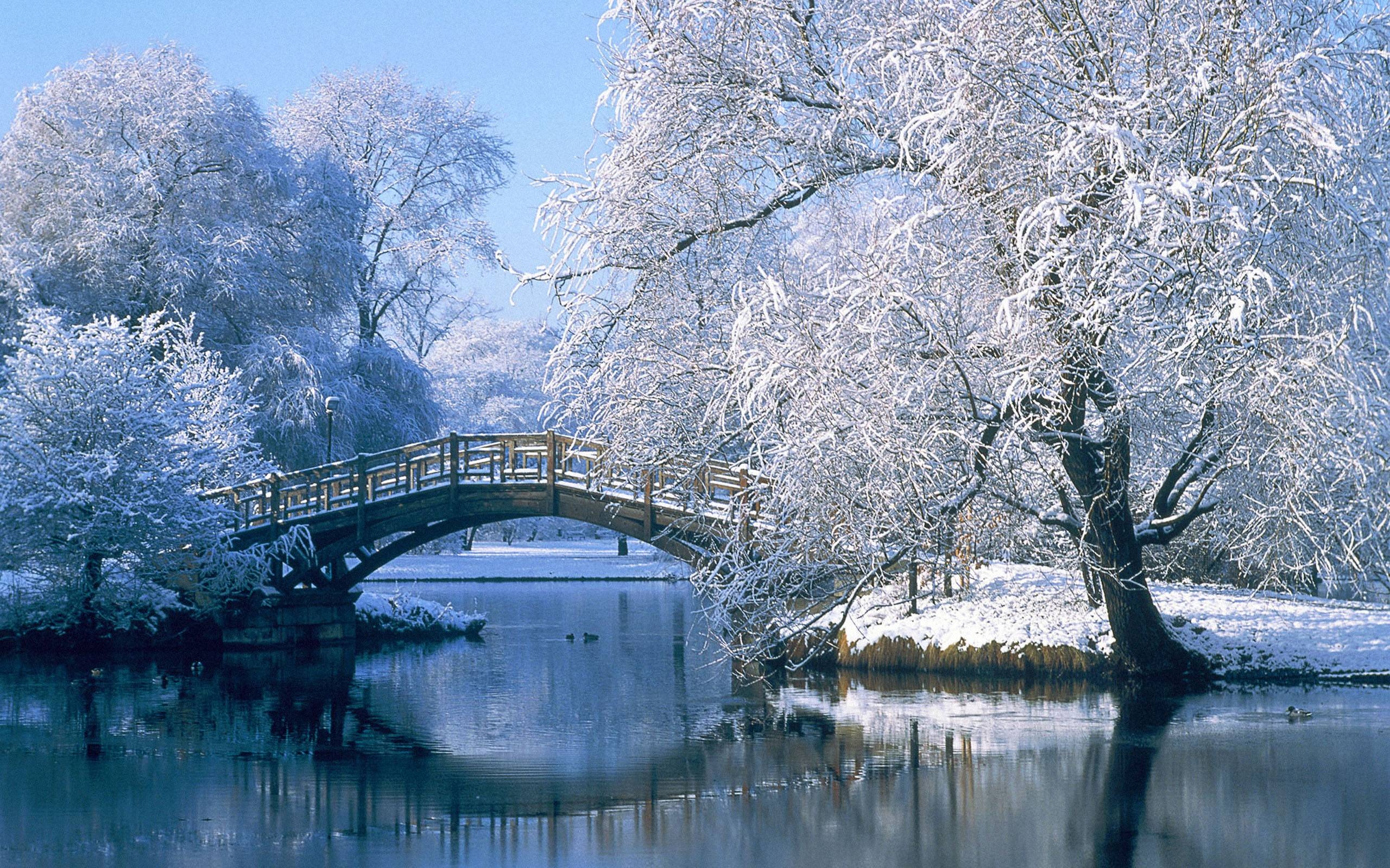 2560x1600 Pix For > Snow Scenes Wallpaper, Desktop