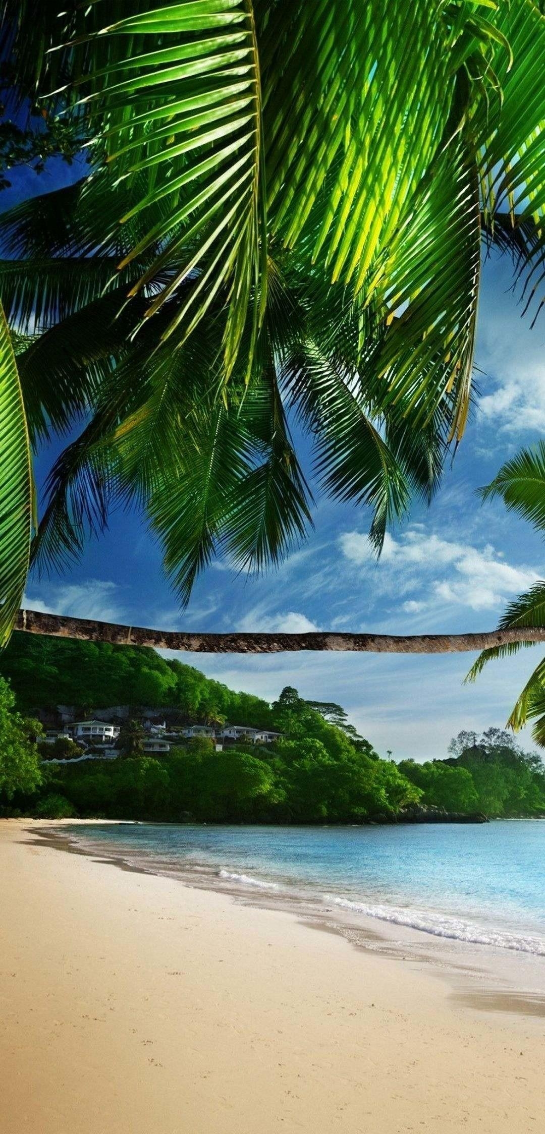 1080x2250 Tropical Beach Wallpaper, Phone