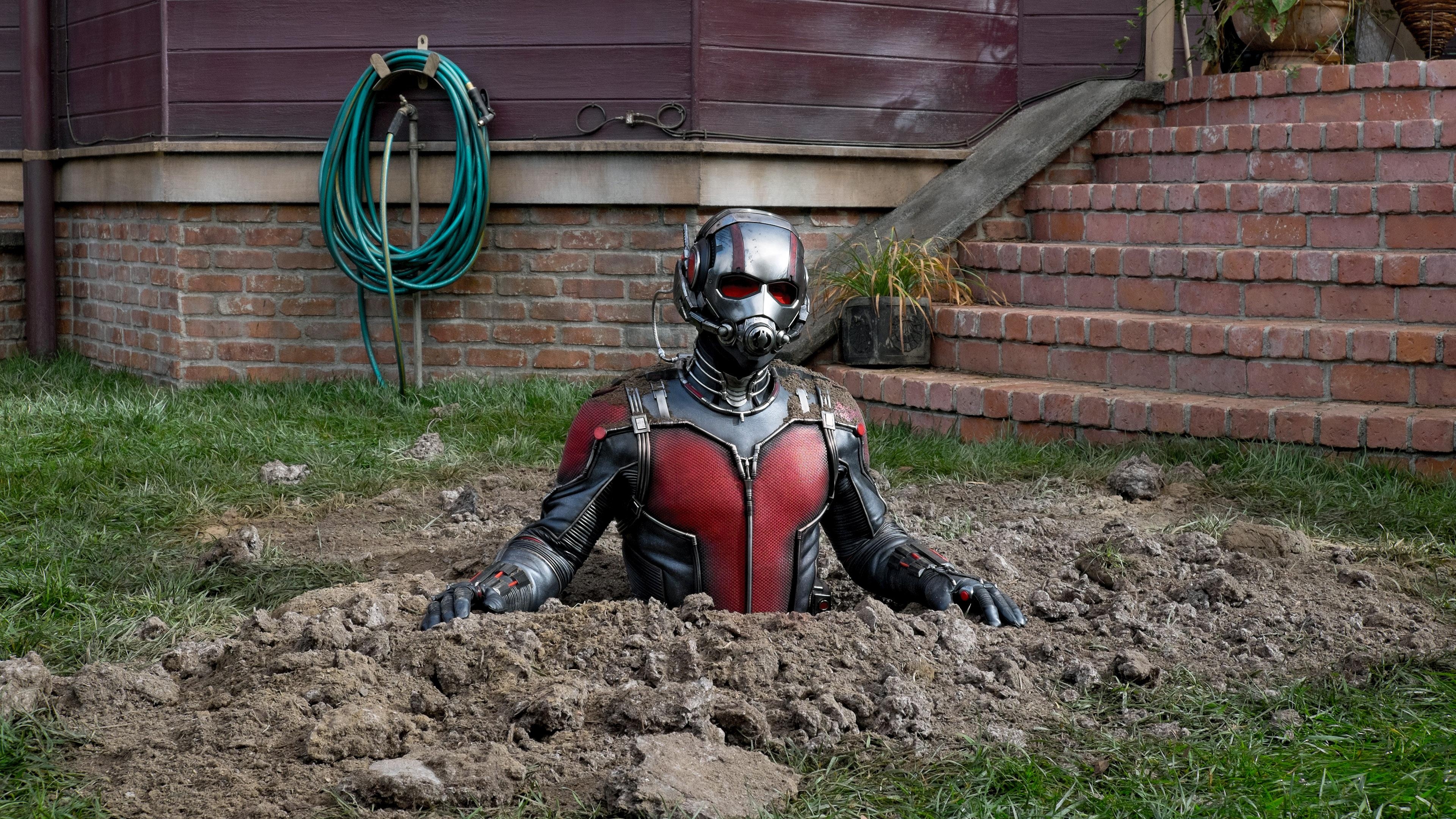 3840x2160 Ant Man And The Wasp HD Movies, 4k Wallpaper, Image, Desktop