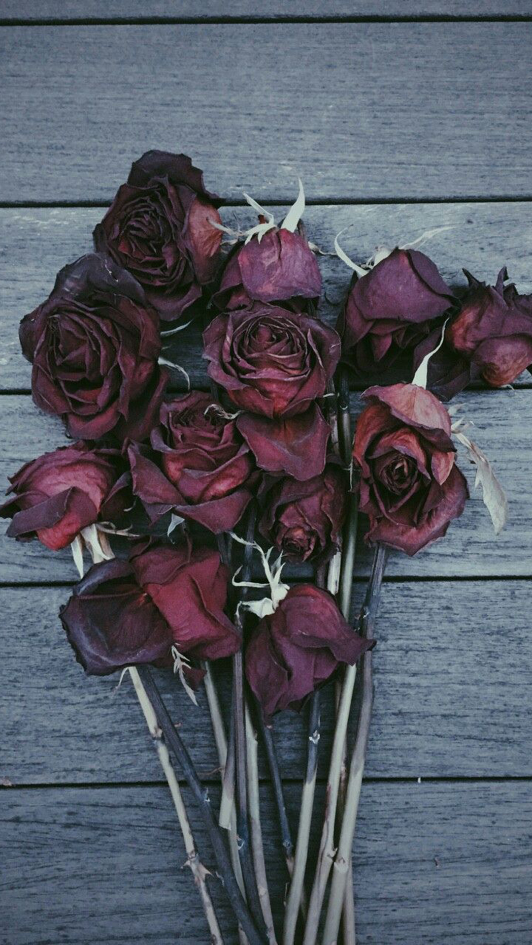 1080x1920 Rose Wallpaper Aesthetic Free download, Phone