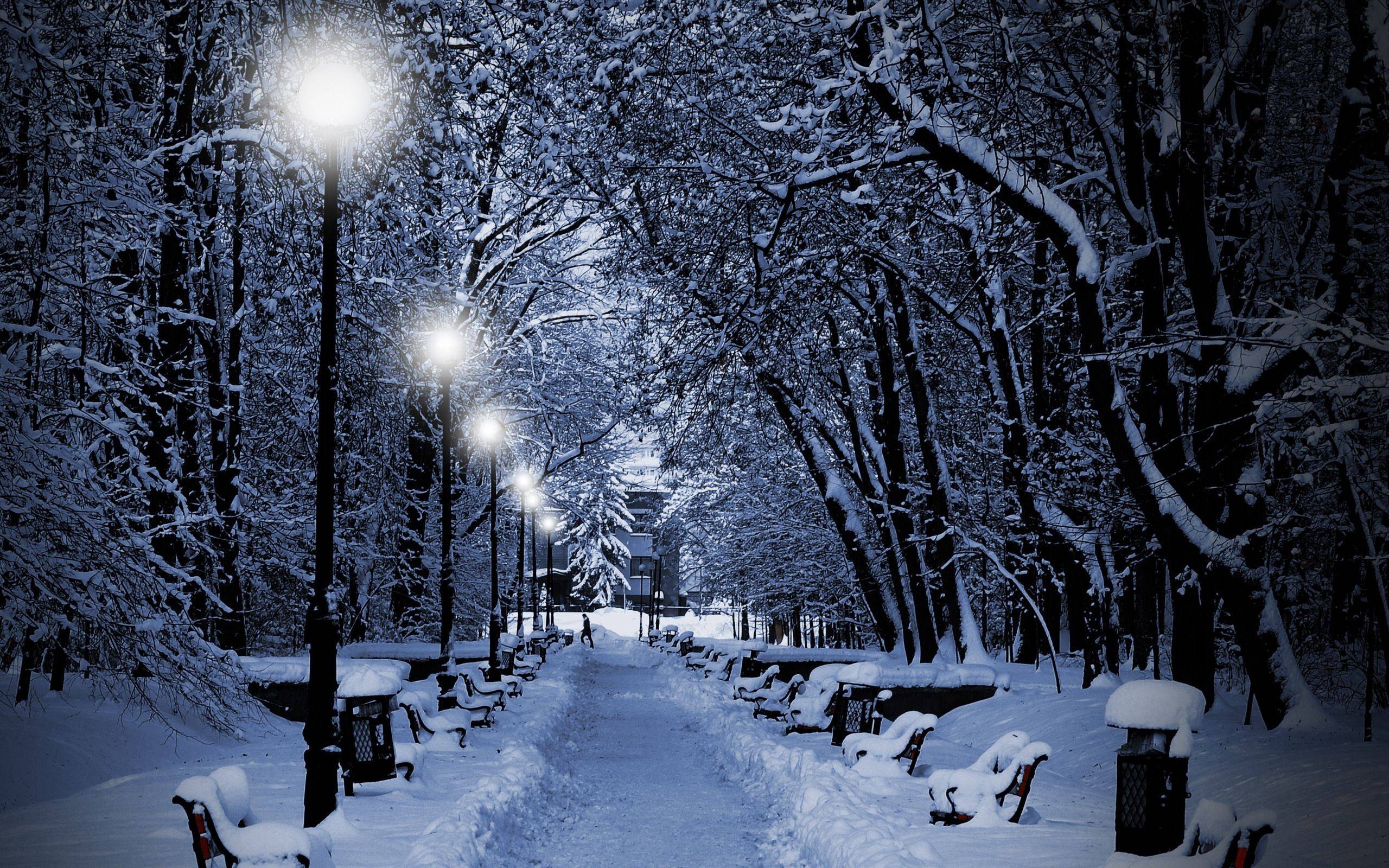 2560x1600 Snow Desktop Background Amazing Decoration 615664 Decorating, Desktop