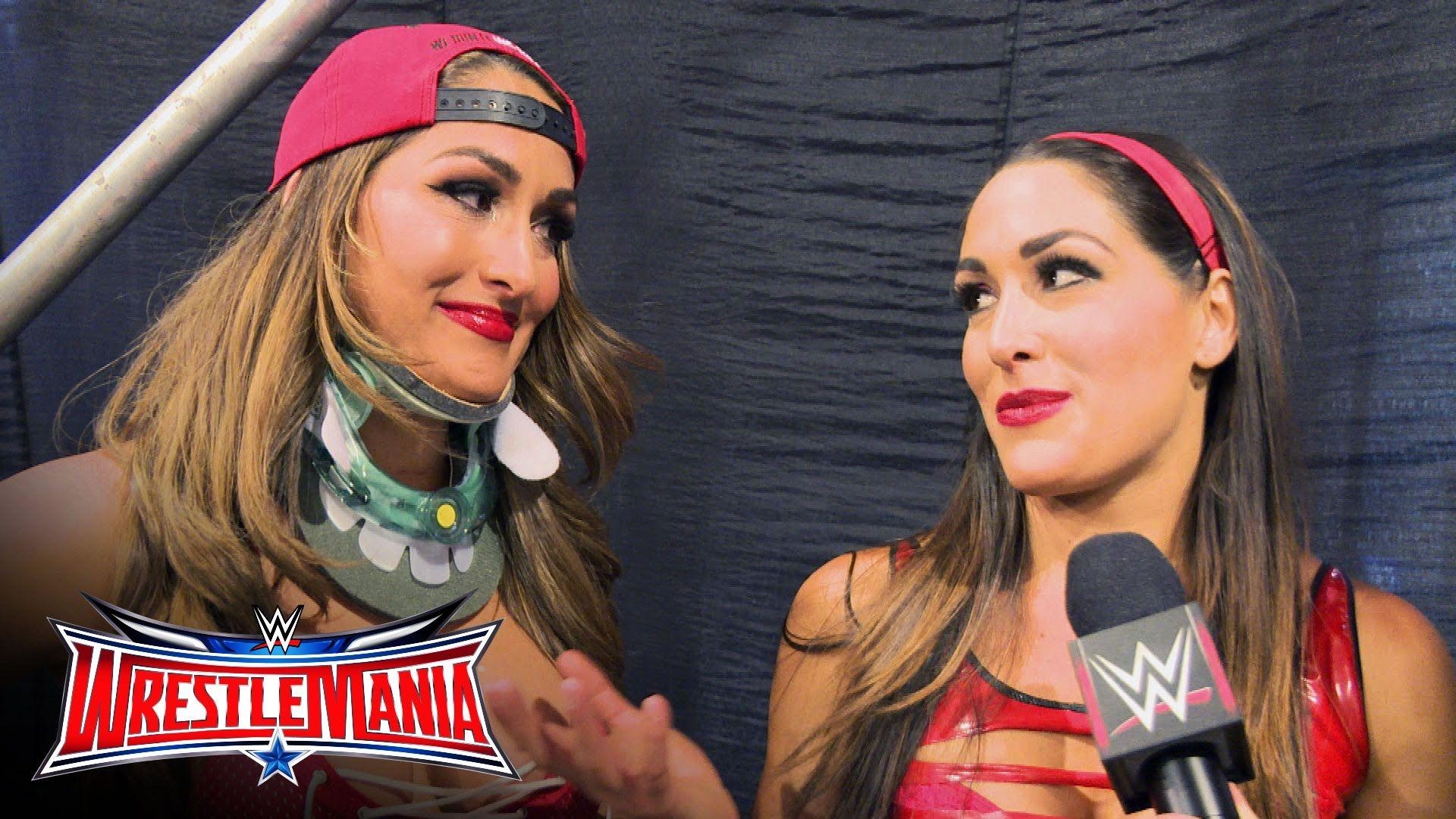 1920x1080 The Bella Twins Archives, Desktop