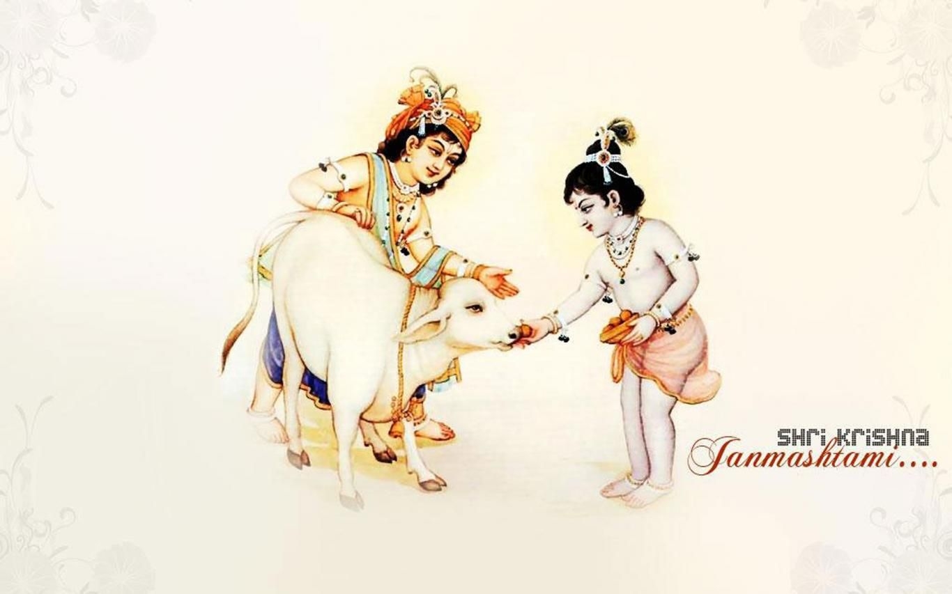 1370x860 Download Krishna balram with small cow Wallpaper HD FREE Uploaded by (wallpaper id), Desktop