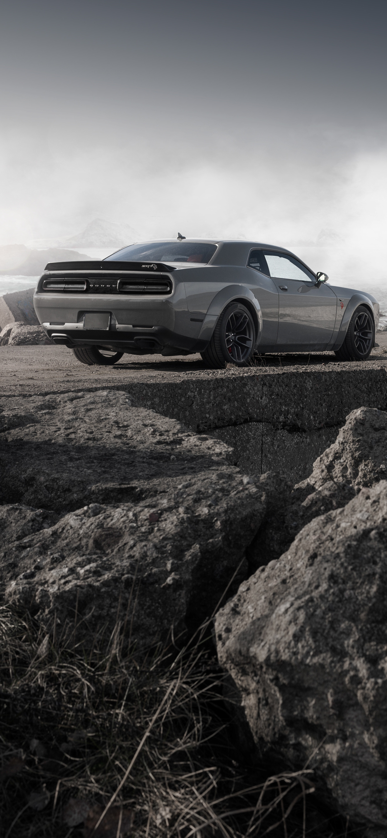 1250x2690 Dodge Challenger Demon SRT Rear iPhone XS MAX HD 4k Wallpaper, Image, Background, Photo and Picture, Phone