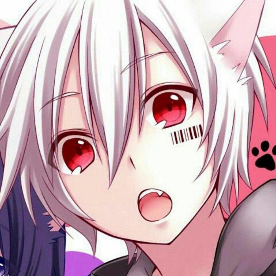 960x960 Cat Boy Anime Wallpaper Free Cat Boy Anime Background, Phone