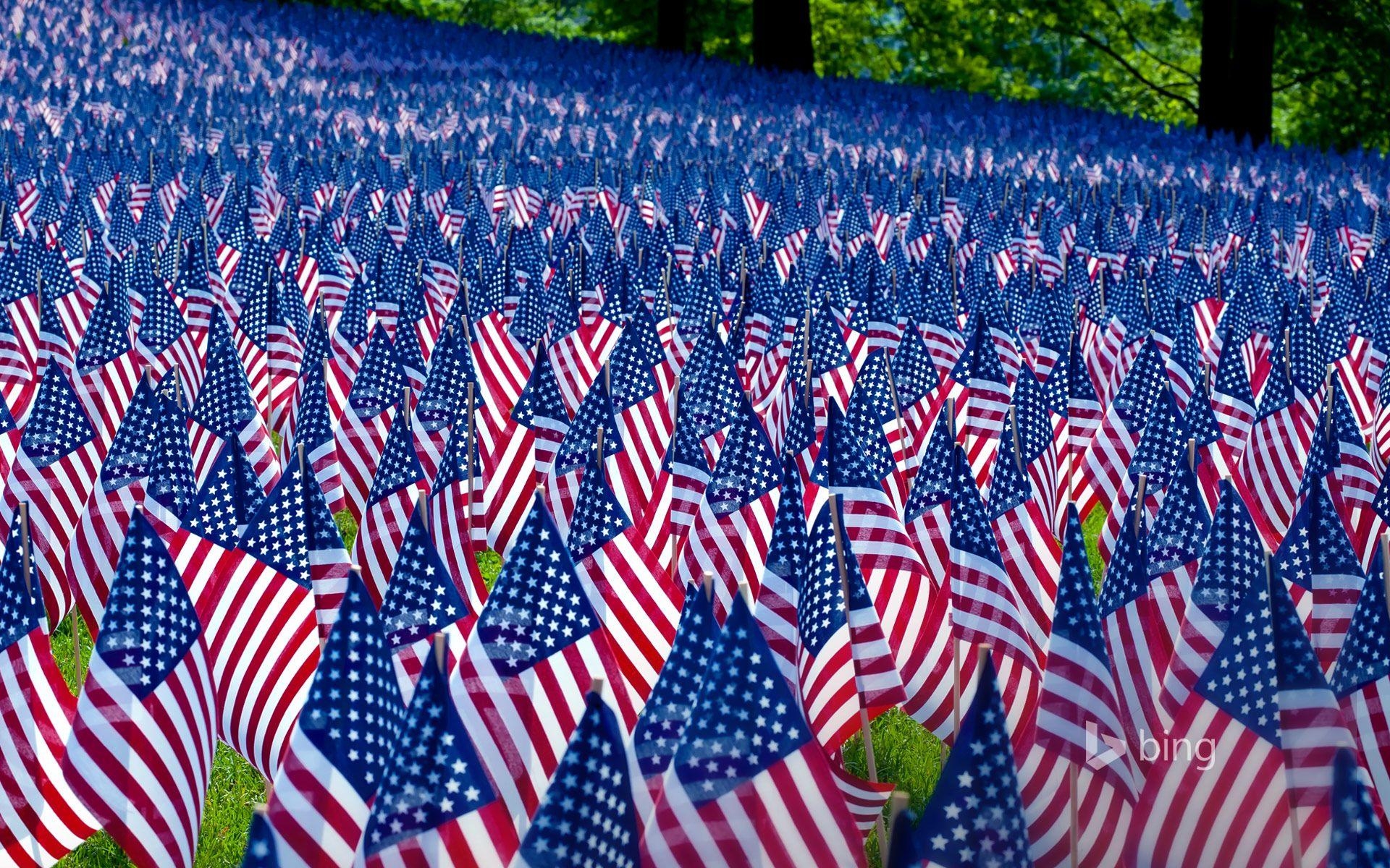 1920x1200 Field of flags displayed for Memorial Day, Boston, Massachusetts, Desktop