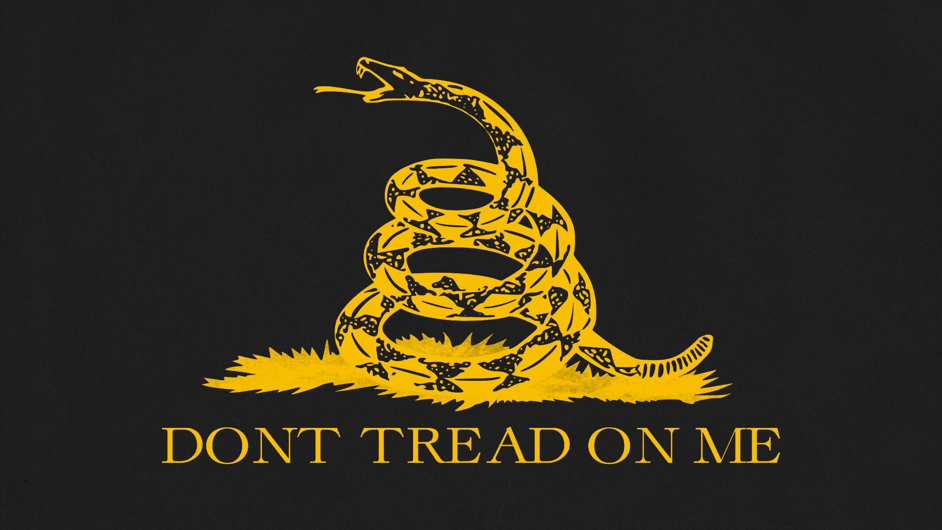 1920x1080 Gadsden Flag Wallpaper Cell Phone Best HD Wallpaper, Desktop