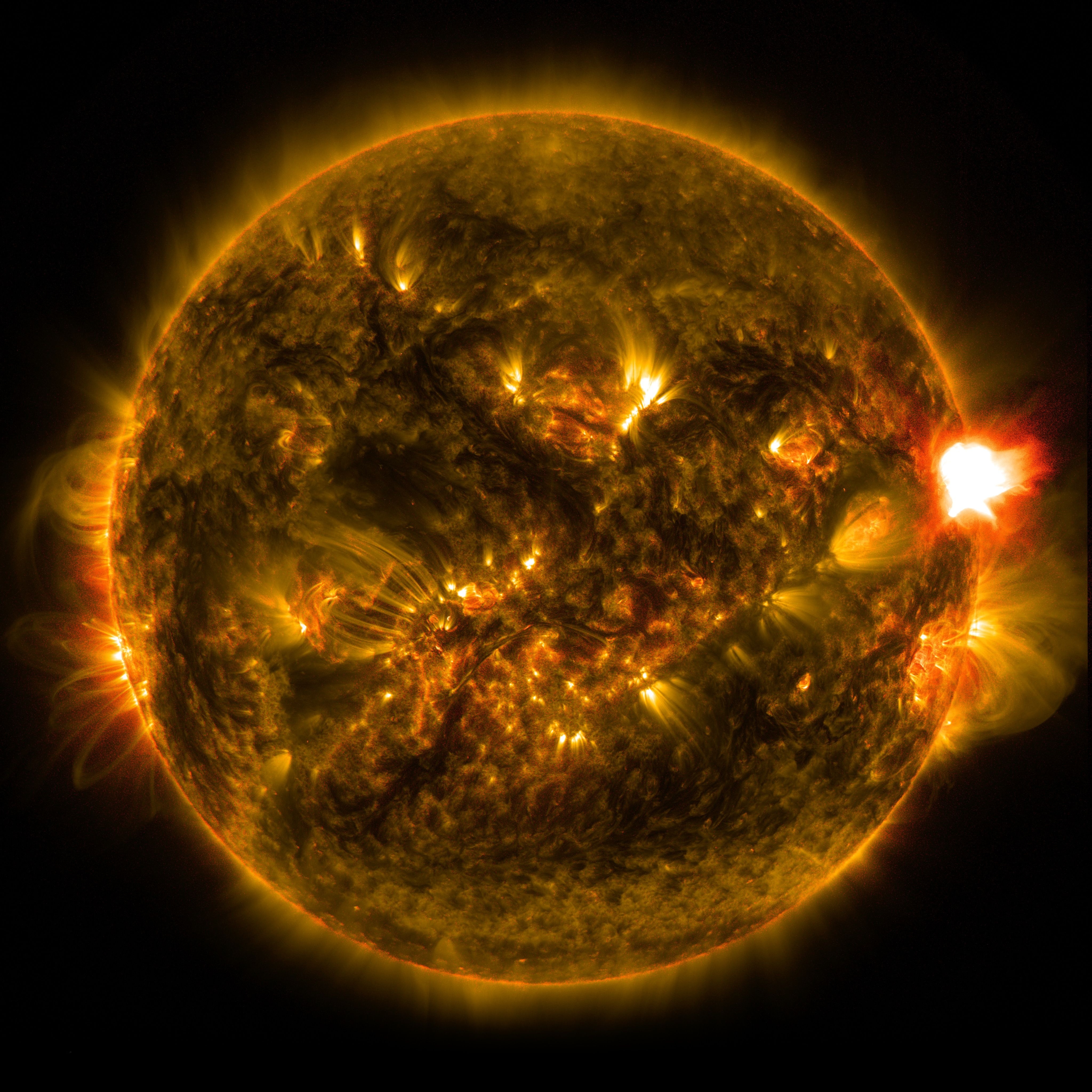 4100x4100 NASA Releases Image of 1st Notable Solar Flare of 2015, Phone