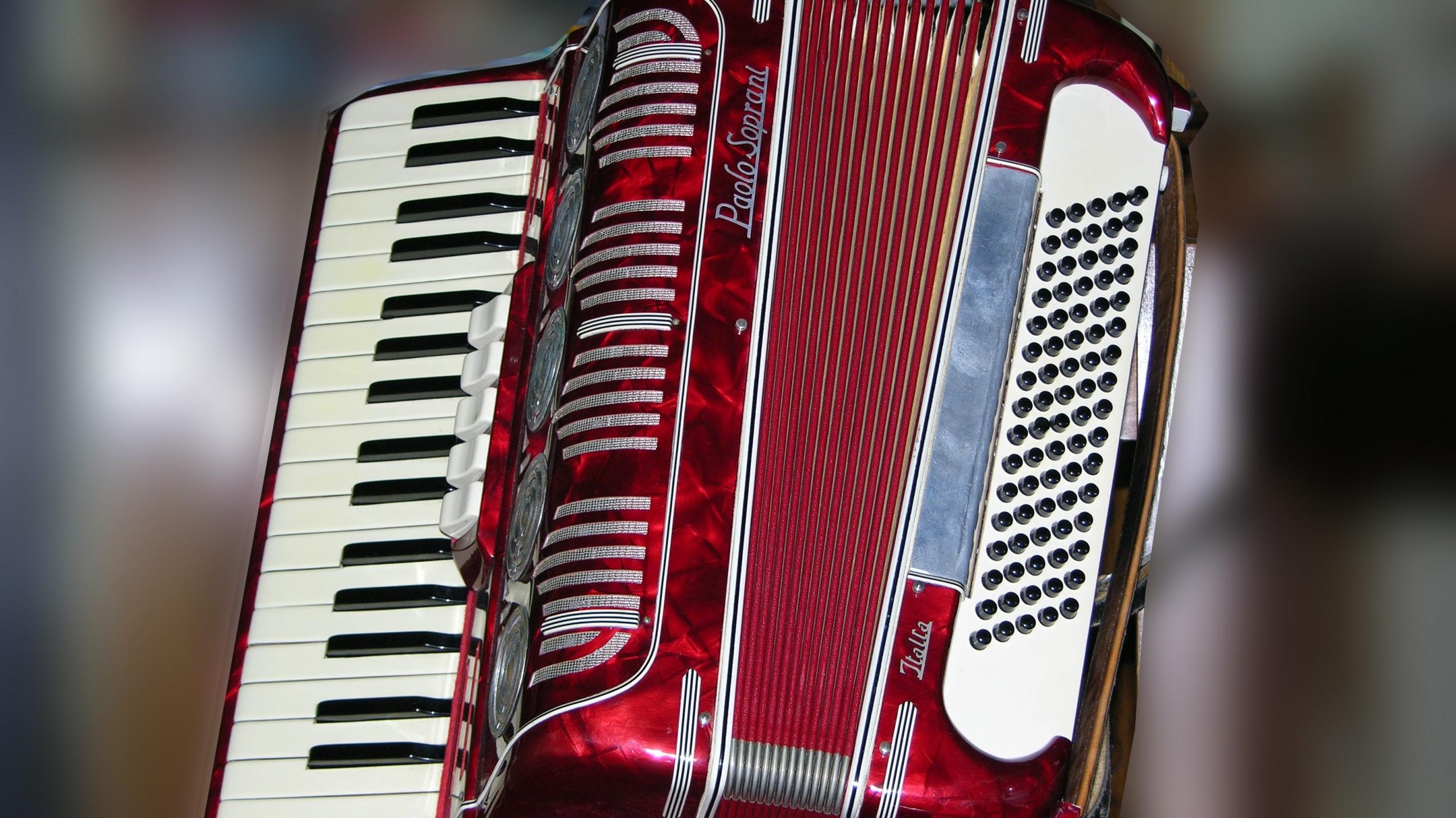 2560x1440 Accordion High Definition Wallpaper 13396, Desktop