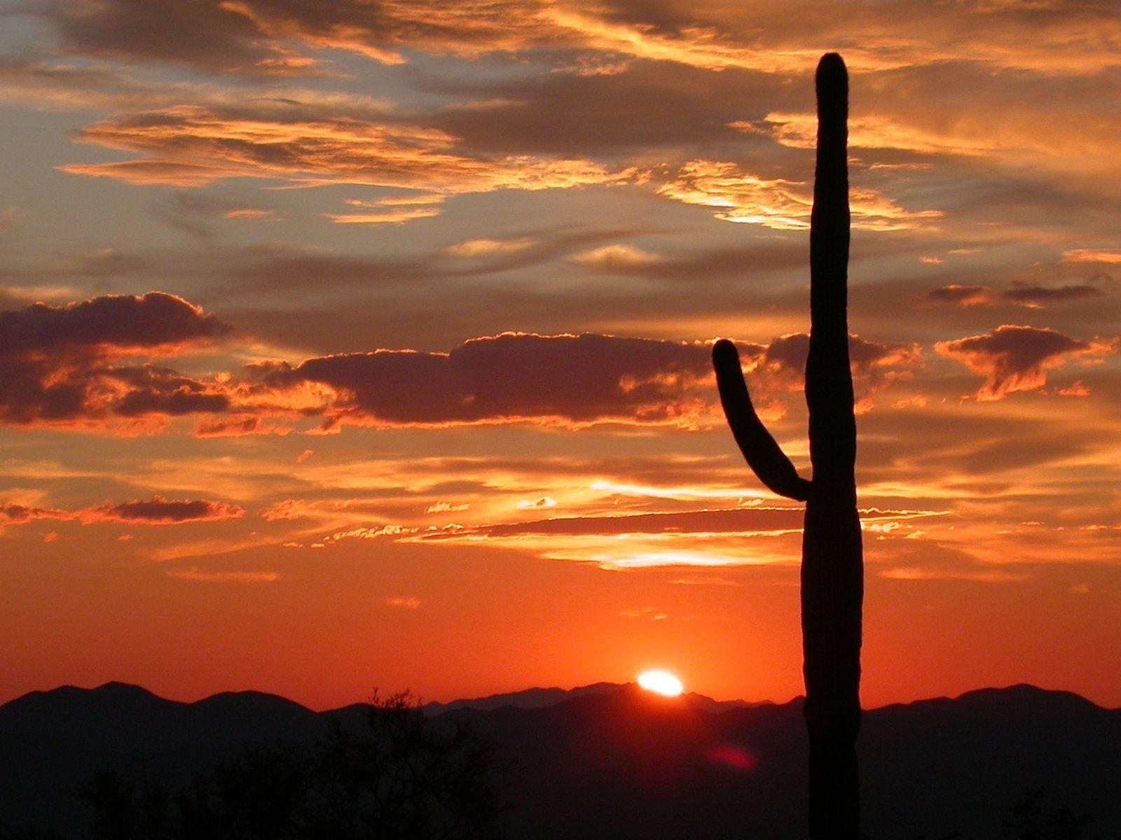 1600x1200 Saguaro National Park, Desktop