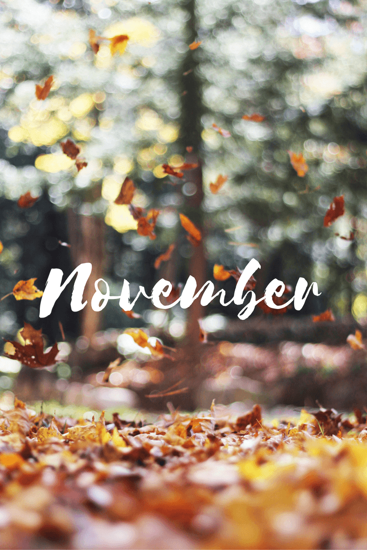 740x1110 Hello, November Leaves Falling.. Fall Wallpaper, Autumn Activities, Seasons, Phone