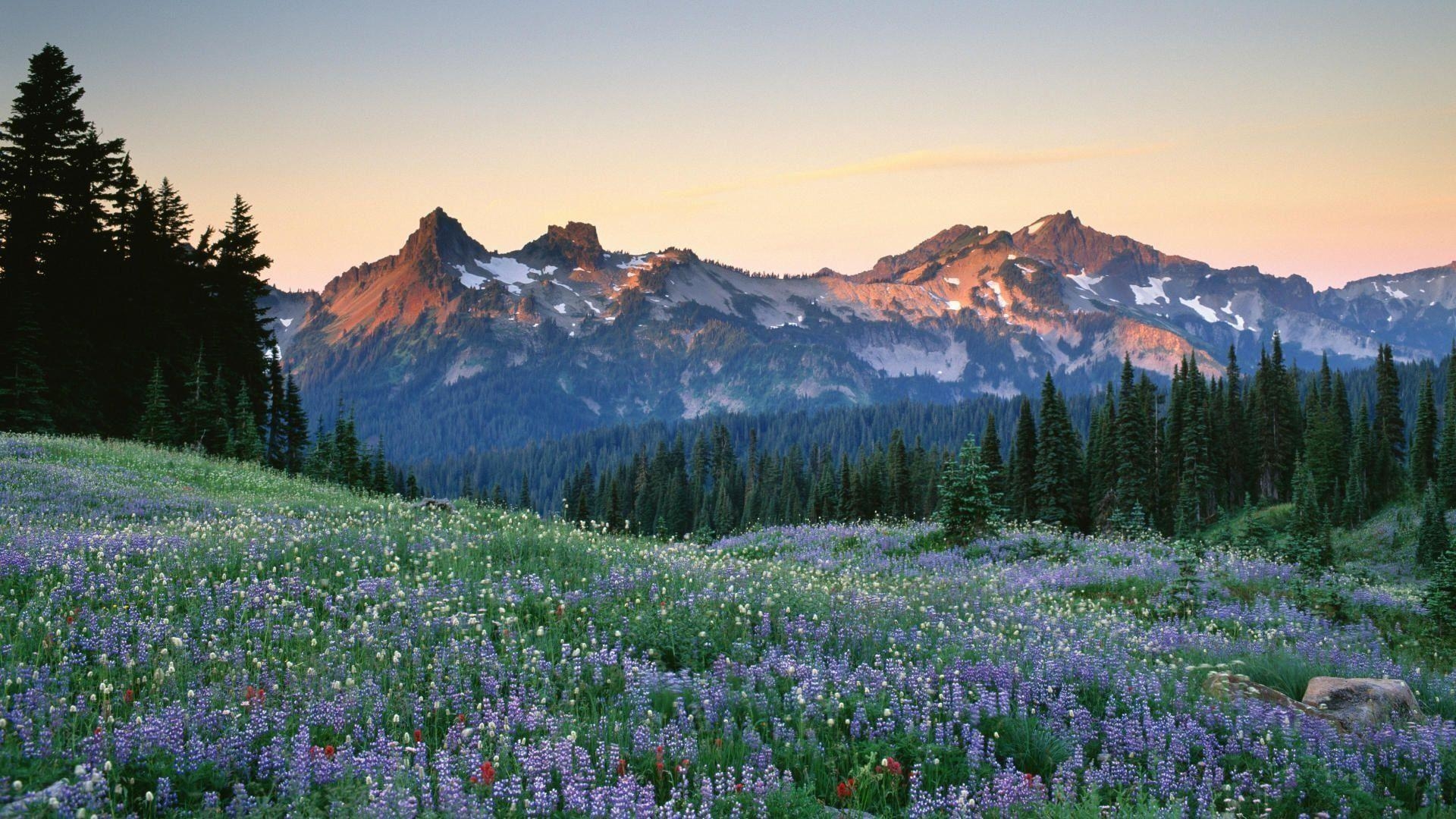 1920x1080 Tatoosh Range Washington, Desktop