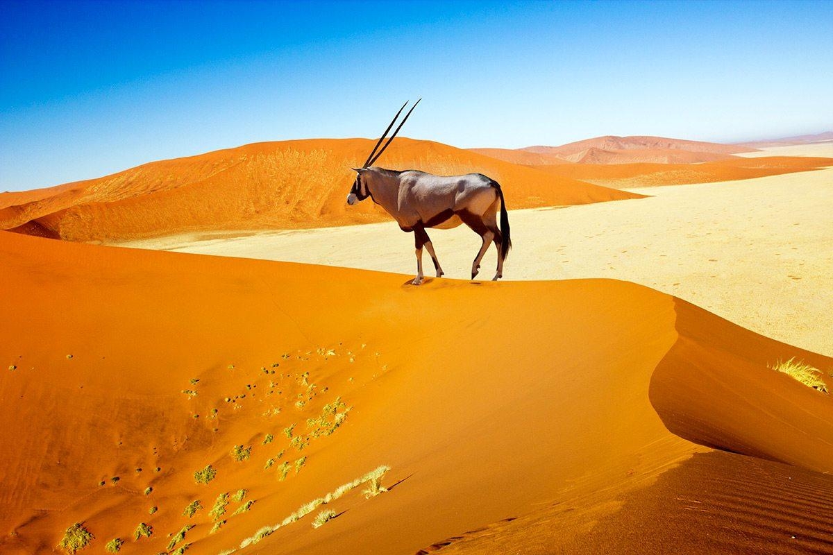 1200x800 Experience The Dunes At Sossusvlei In Namibia. Art Of Safari, Desktop