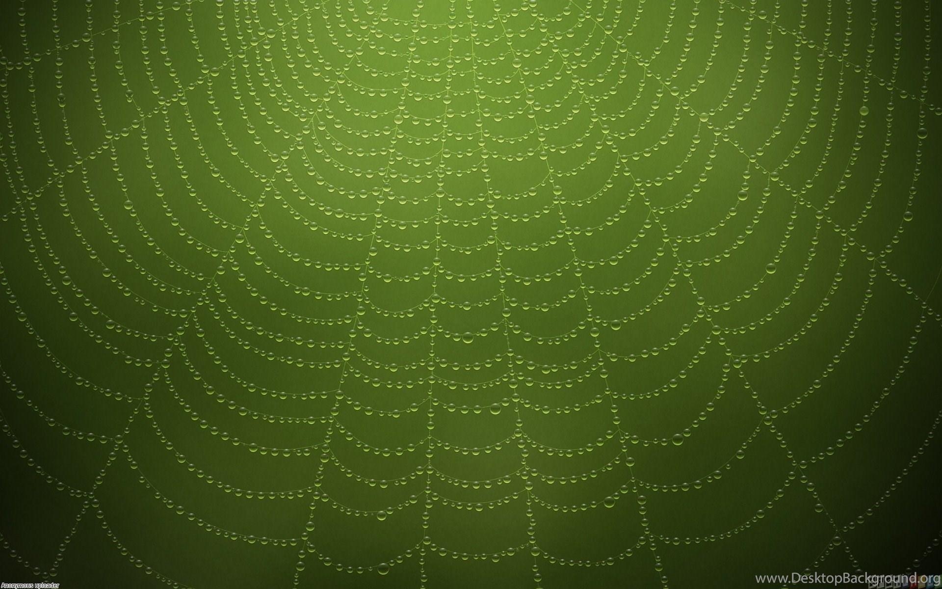 1920x1200 Green Spider Web Wallpaper Desktop Background, Desktop