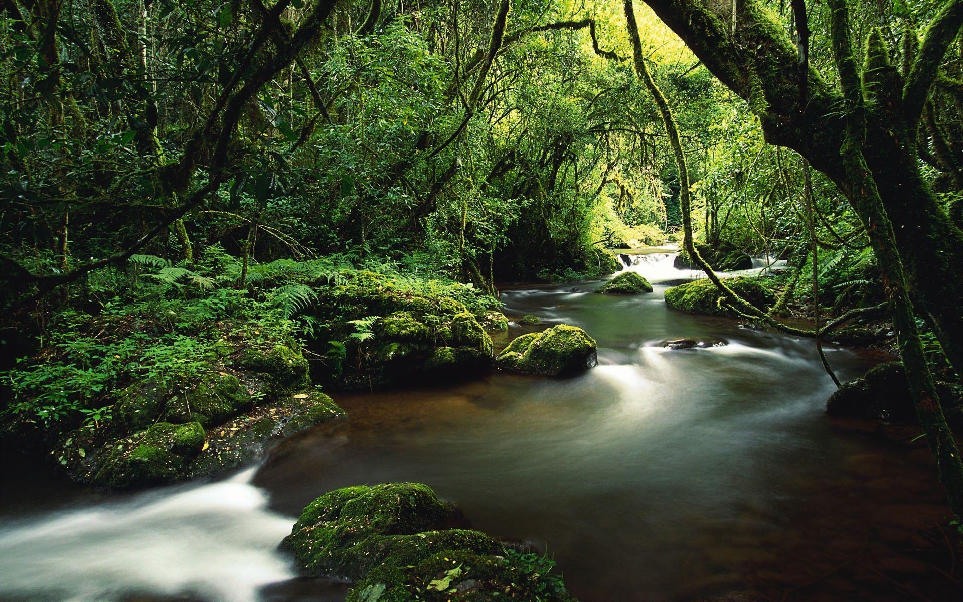 1920x1200 Waterfall in Costa Rica Rainforest Wallpaper Rivers Nature 63, Desktop