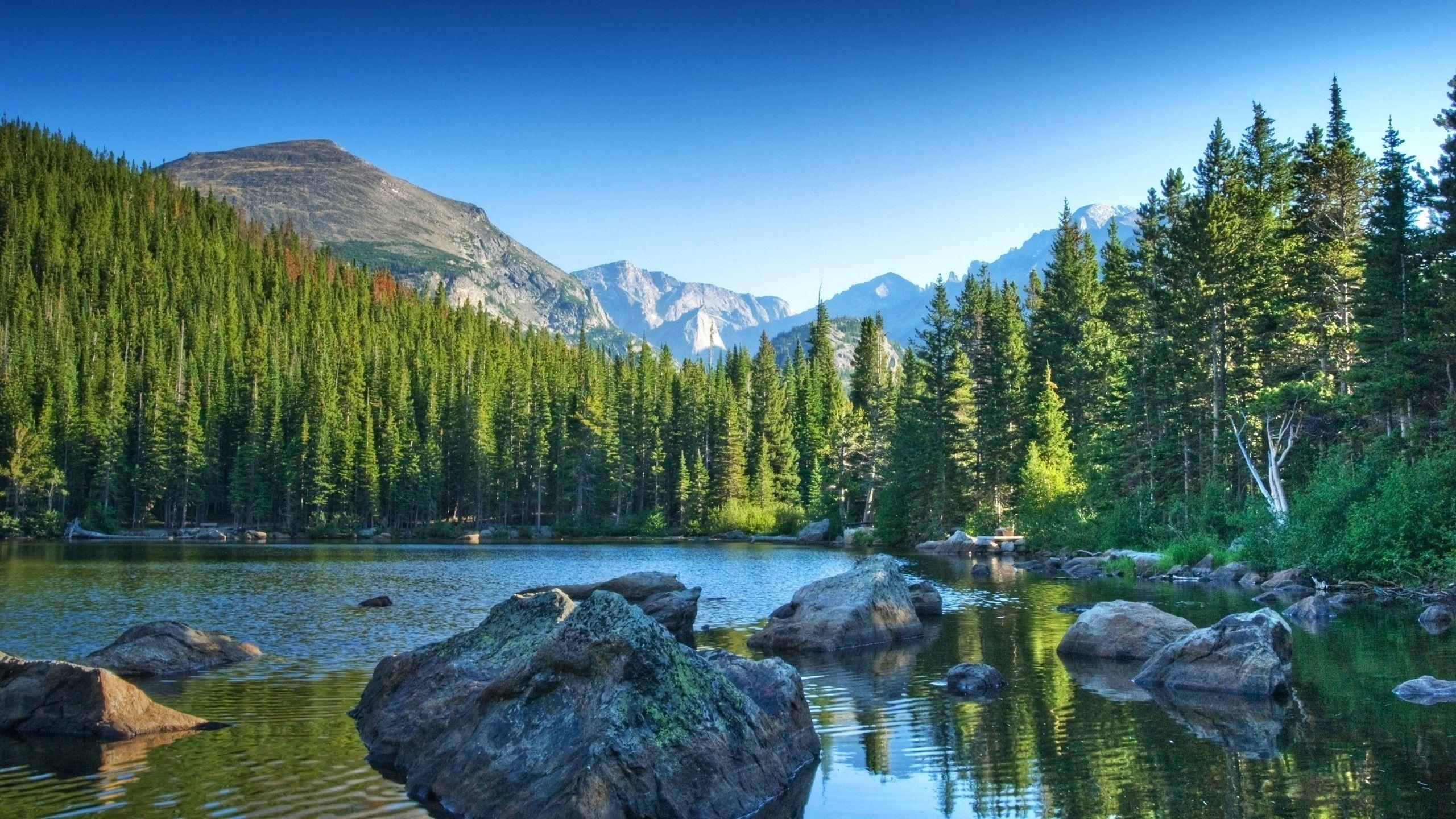 2560x1440 Rocky Mountain Landscape Wallpaper, Desktop