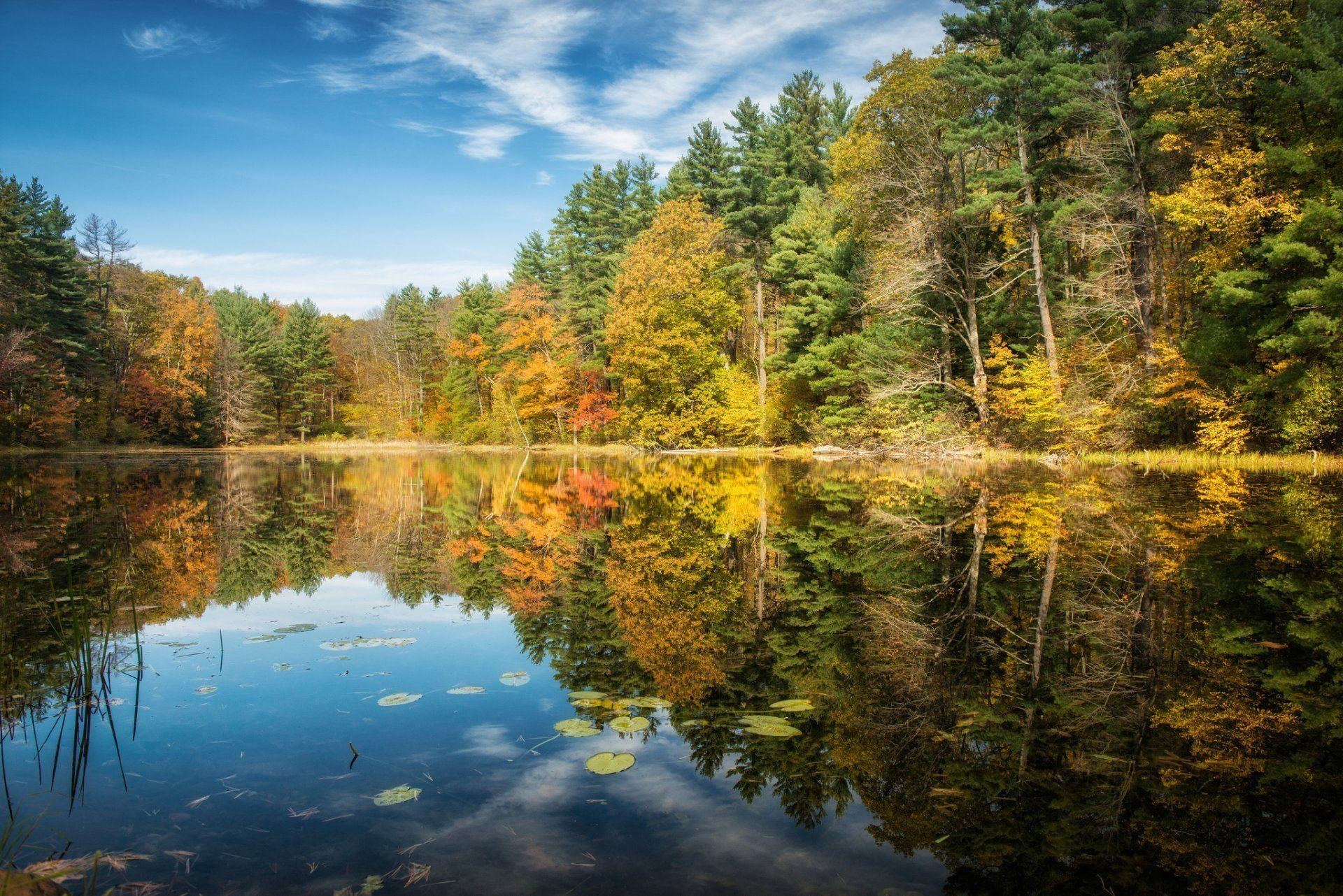 1920x1290 norfolk connecticut lake forest autumn tree reflection HD wallpaper, Desktop