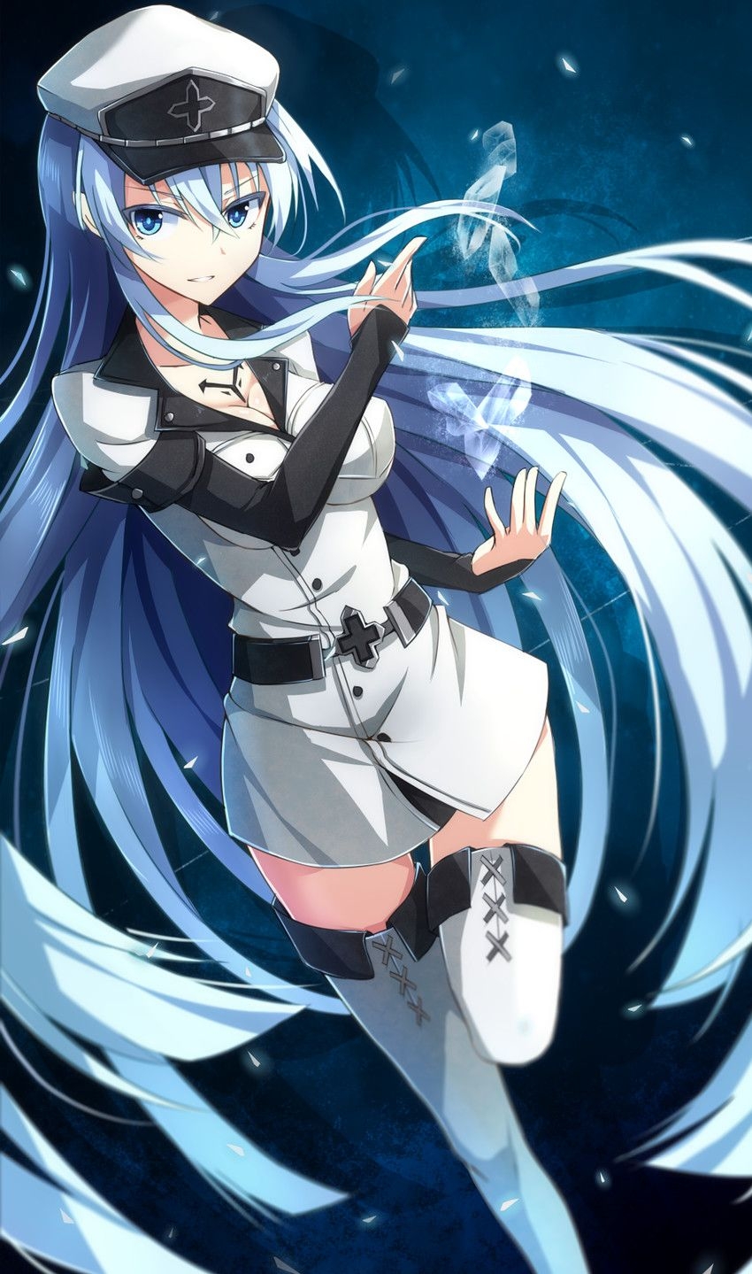 850x1440 esdeath (akame ga kill!) drawn, Phone