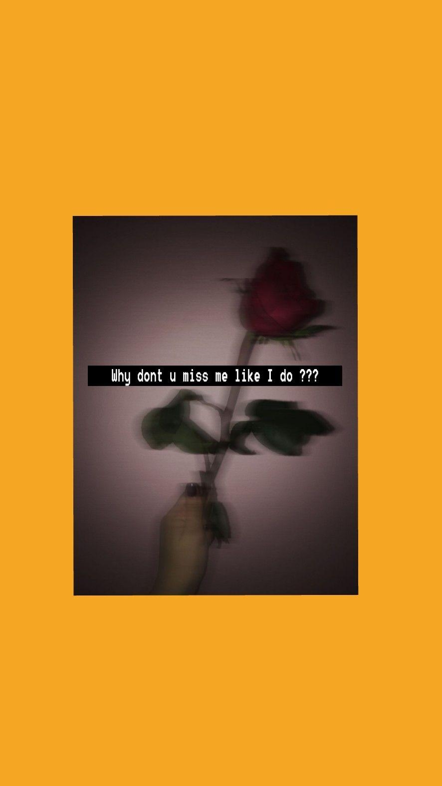 890x1580 aesthetic #yellow #rose #miss #sad #wallpaper #background. Stufz, Phone