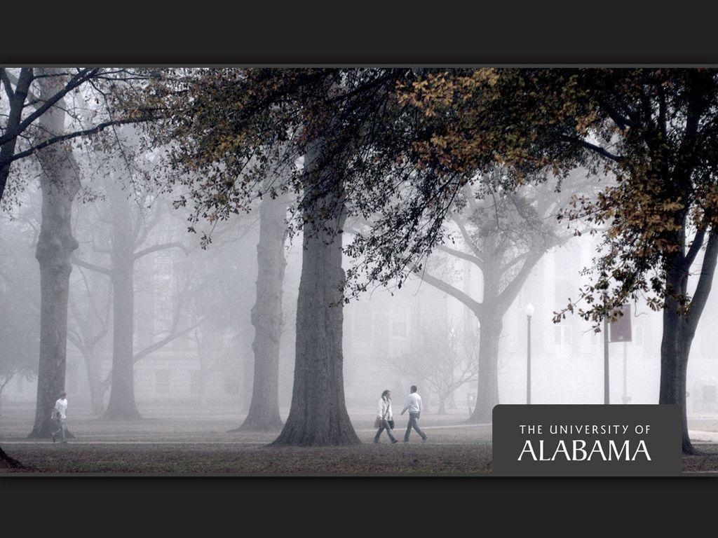 1030x770 Graduate History Association University of Alabama, Desktop