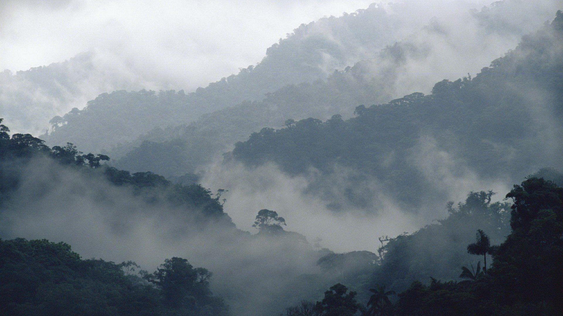 1920x1080 Costa Rica Cloud Forest Wallpaper, Desktop