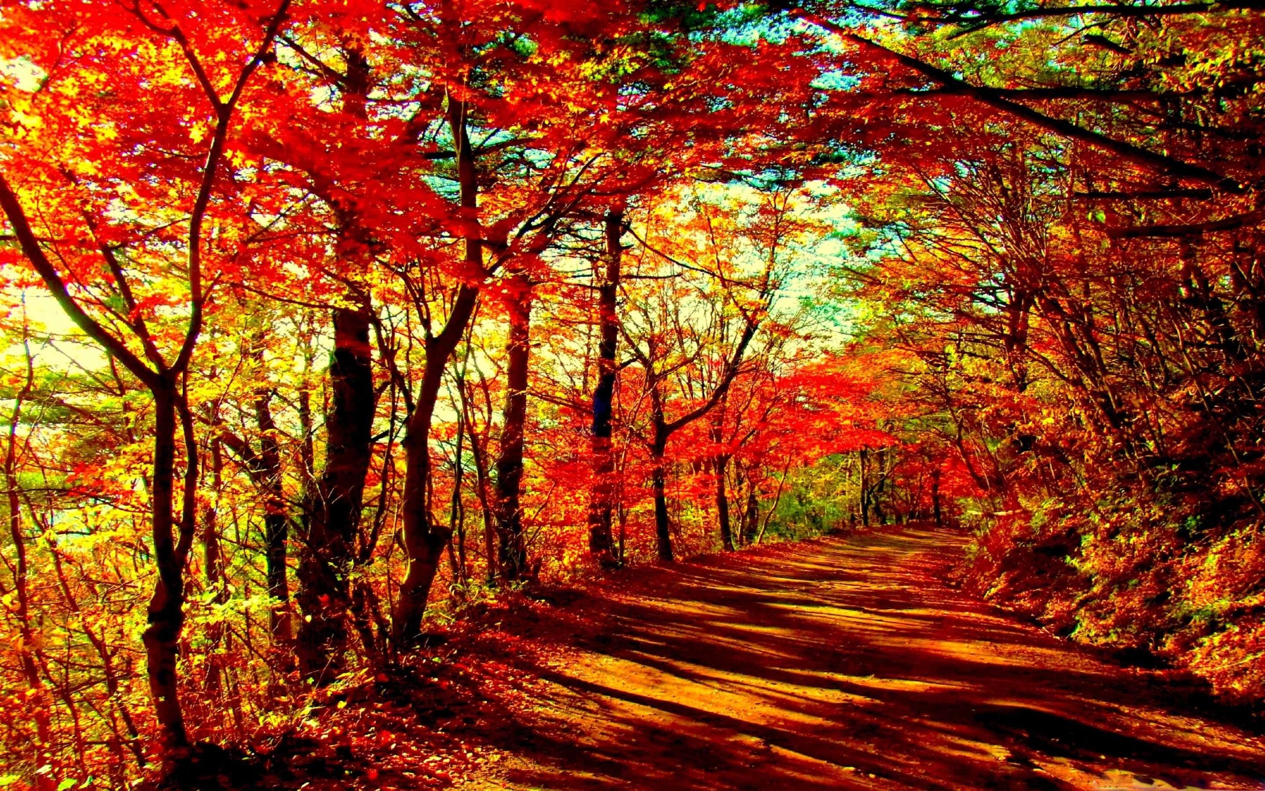 2560x1600 Best autumn Mac Wallpaper Free HD Download, Desktop