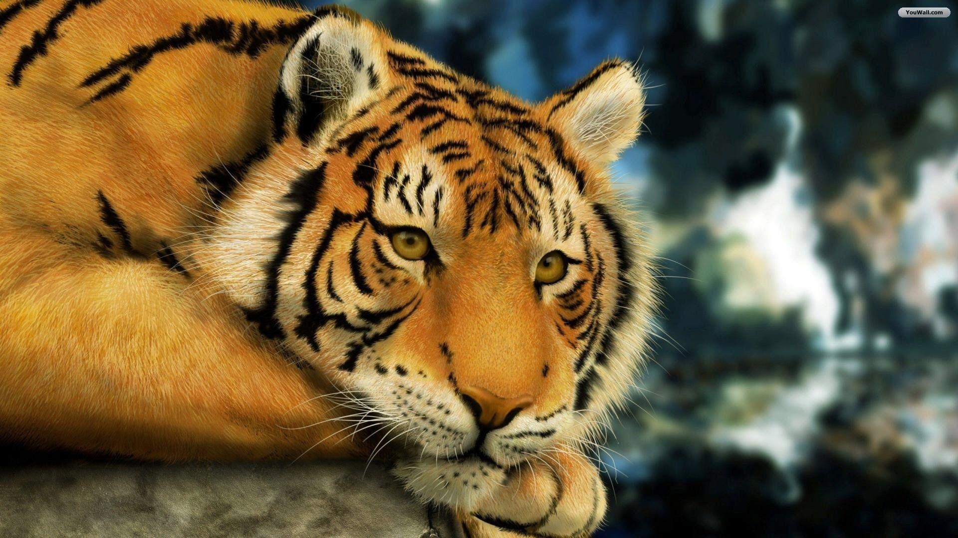 1920x1080 Tiger Wallpaper 3D Photo Free Download > SubWallpaper, Desktop