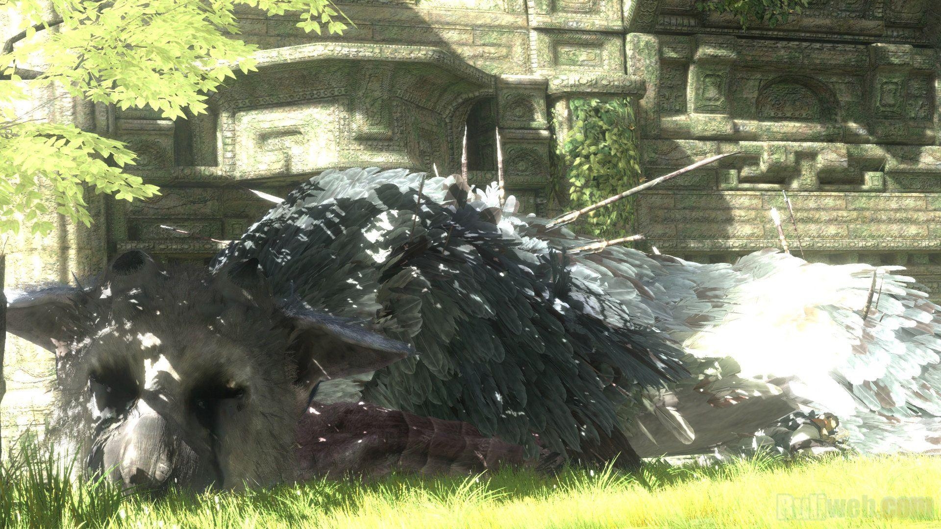 1920x1080 The Last Guardian Full HD Wallpaper and Backgroundx1080, Desktop