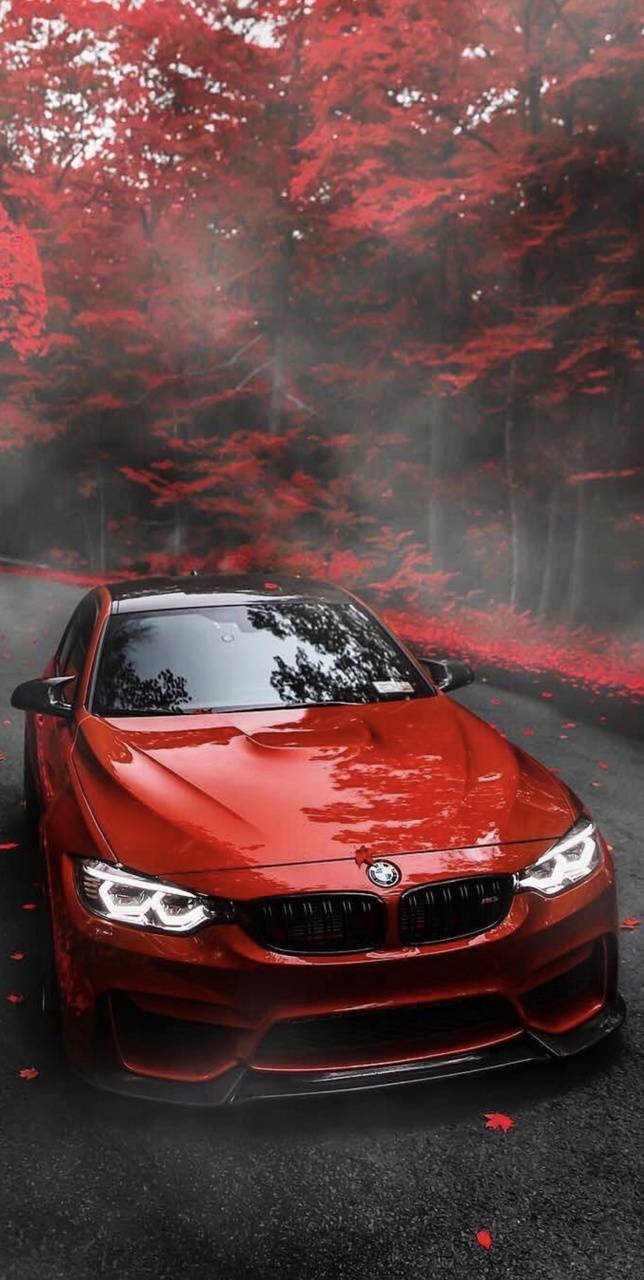 650x1280 Bmw M3 F80 wallpaper, Phone