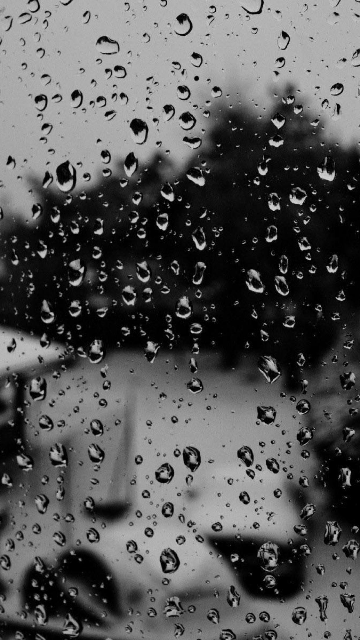 1250x2210 Raindrops HD Wallpaper for Android, Phone