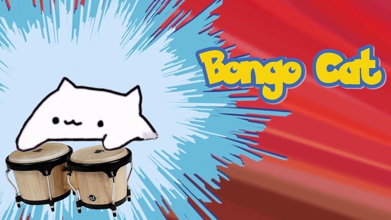 1280x720 Try Not to Laugh Bongo Cat Edition [Must See], Desktop