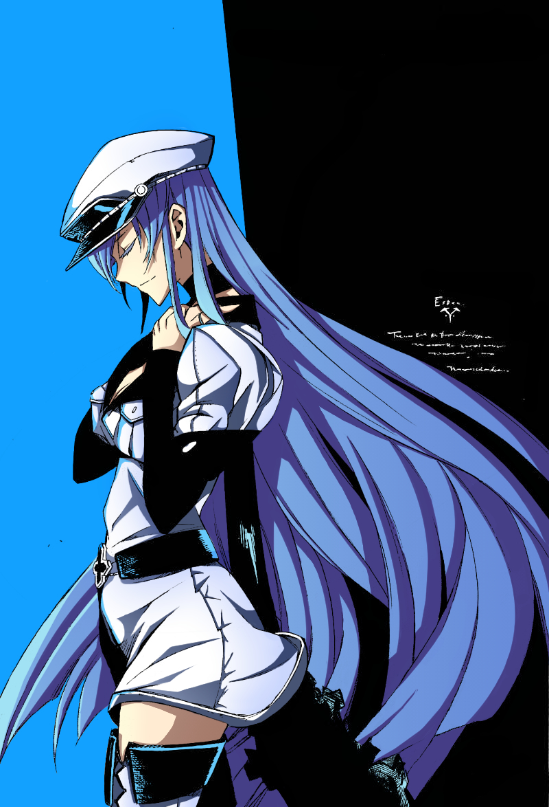 800x1180 Esdeath Wallpaper, Phone