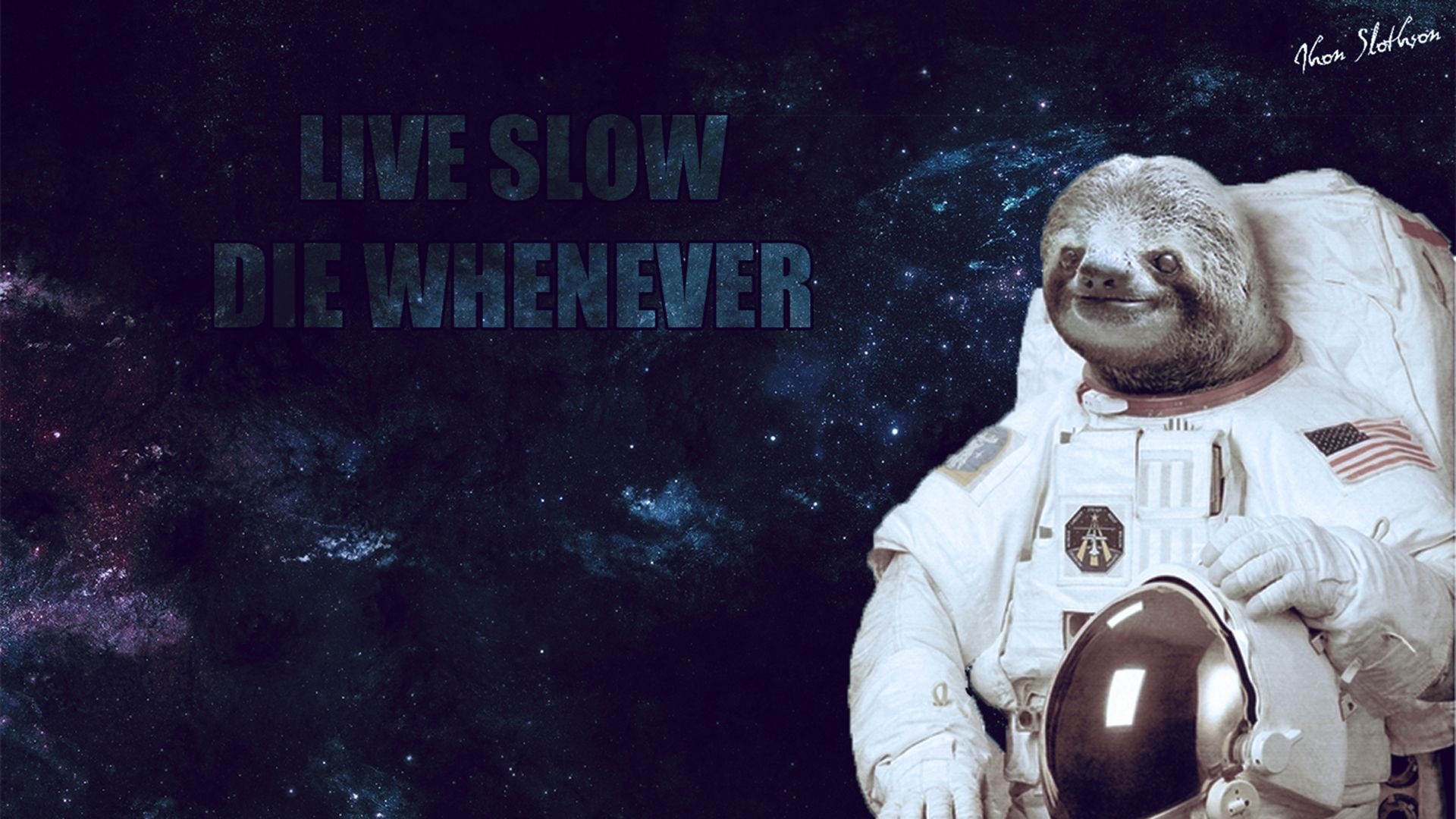 1920x1080 Sloth Wallpaper.hipwallpaper.com, Desktop