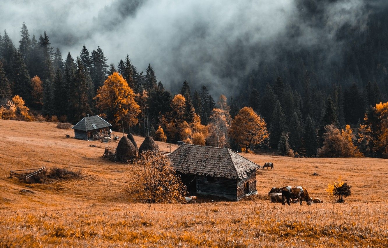 1340x850 Farmland Autumn Desktop Wallpaper, Desktop