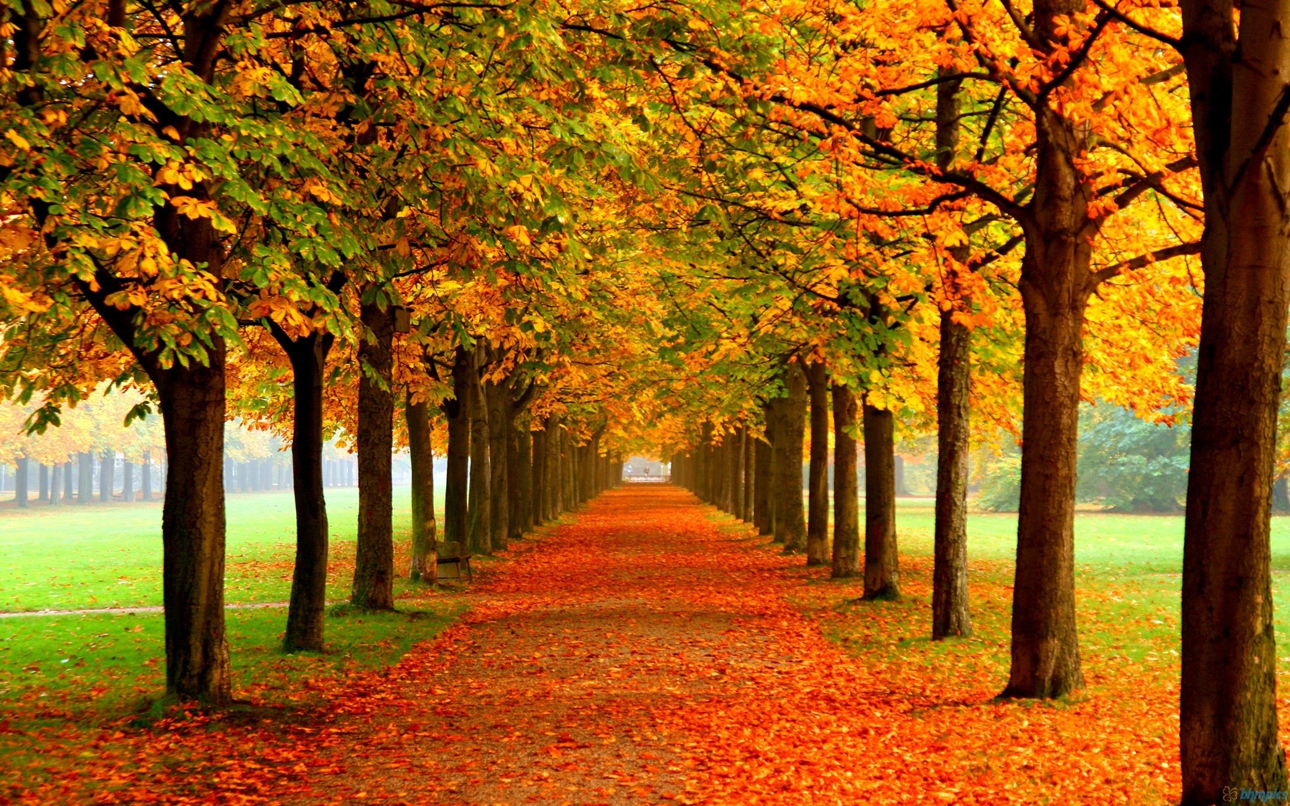 2560x1600 Best autumn Mac Wallpaper Free HD Download, Desktop