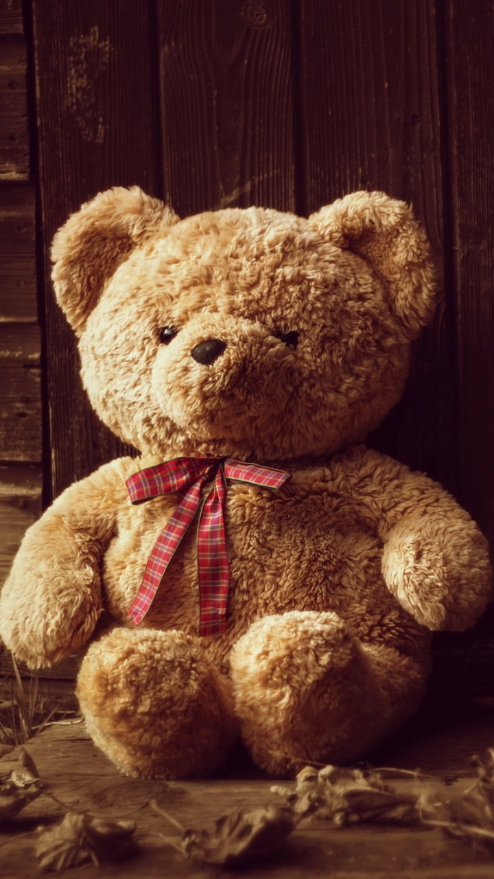 720x1280 Wallpaper / Man Made Stuffed Animal Phone Wallpaper, Teddy Bear,  free download, Phone