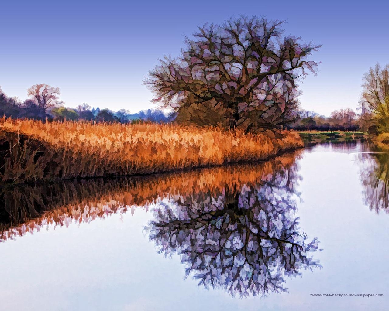 1280x1030 Reeds Oak Tree Riverbank Artistic Background Wallpaper, Desktop