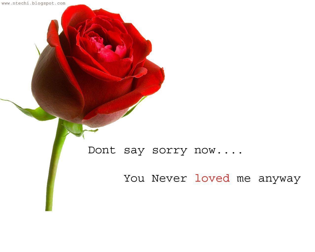 1280x1030 Sorry Wallpaper for Love, Desktop