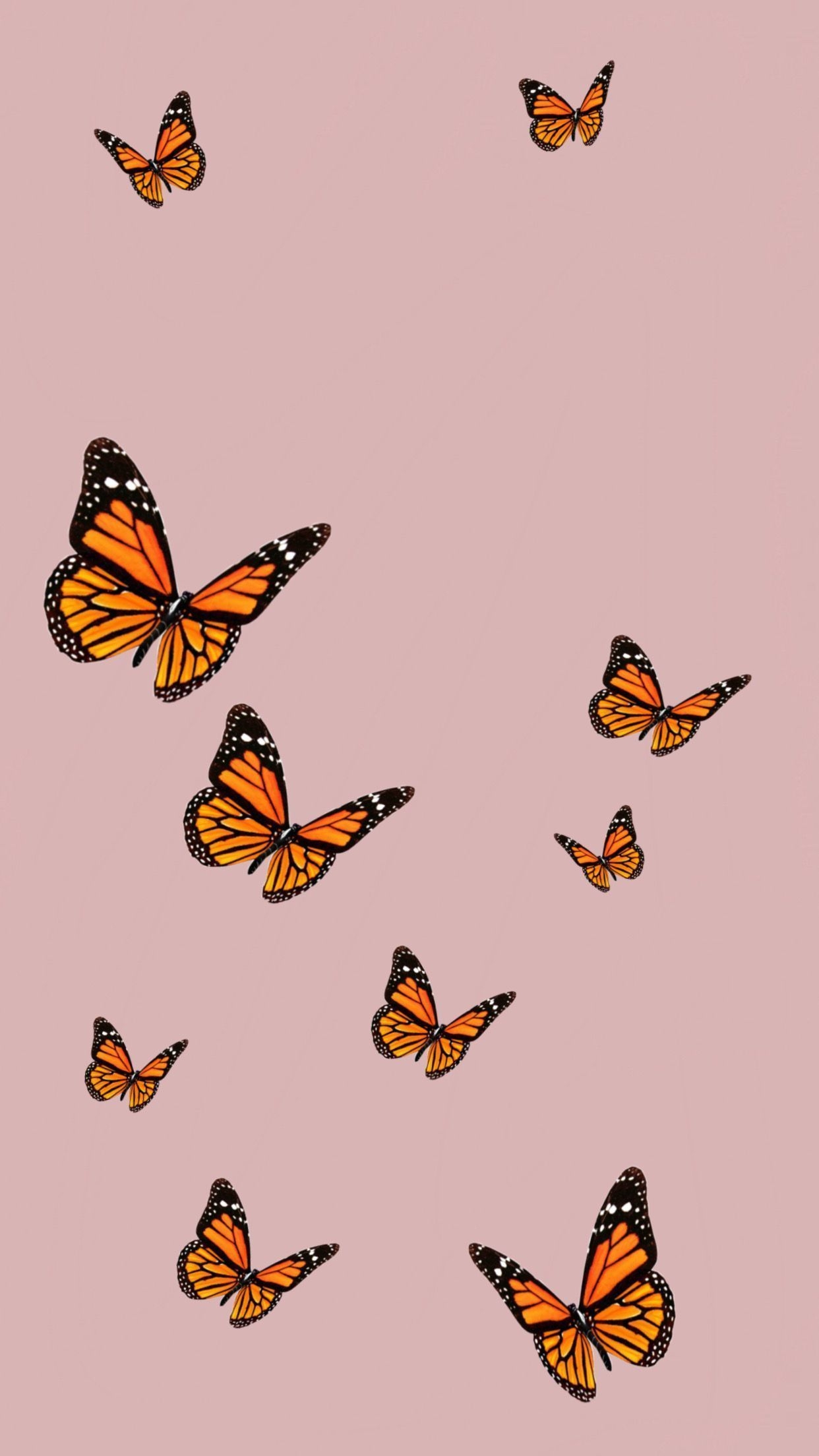 1250x2210 iphonewallpaper. Butterfly wallpaper iphone, Wallpaper, Phone