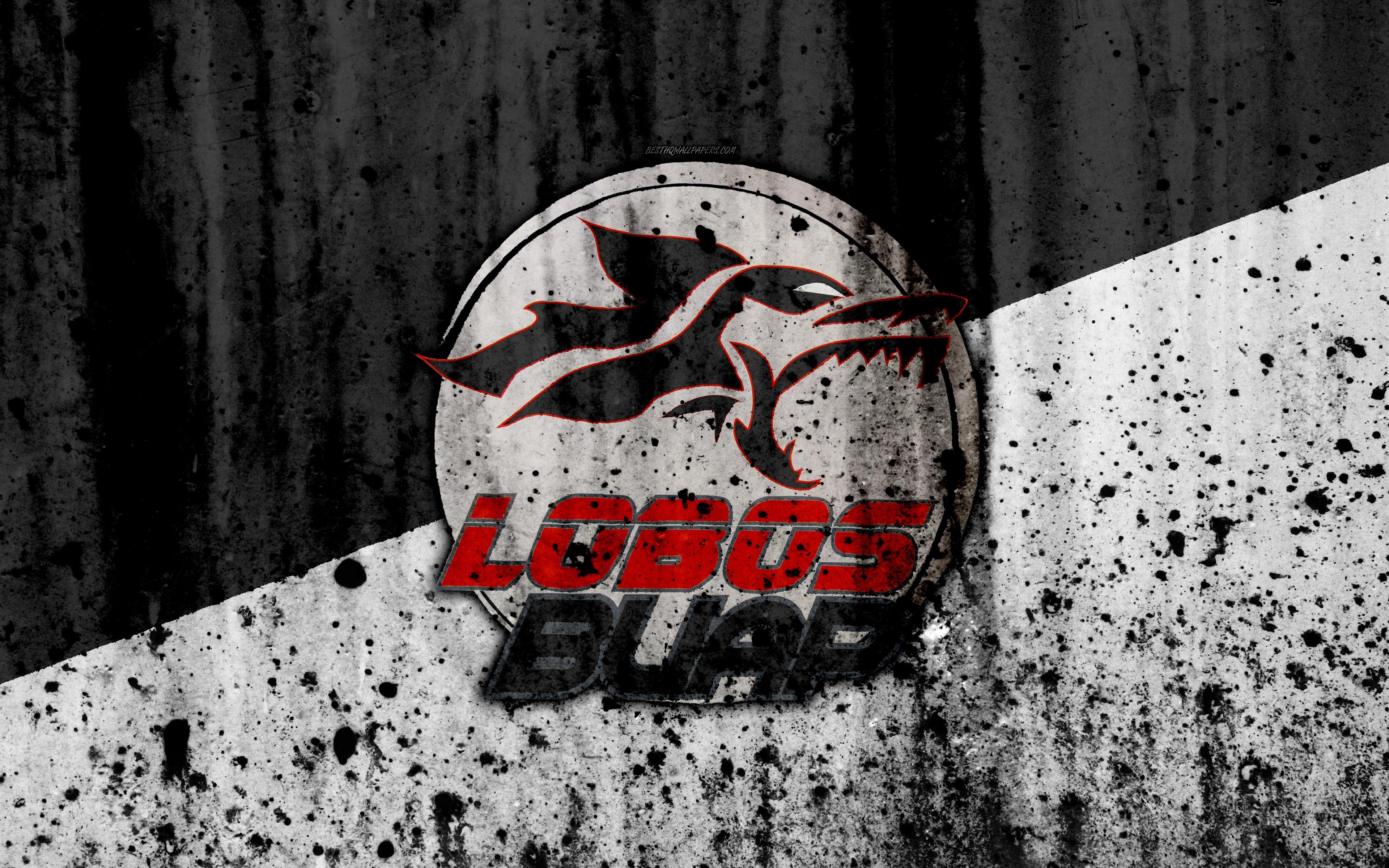 3840x2400 Descargar fondos de pantalla 4k, FC Lobos BUAP, el grunge, la Liga, Desktop