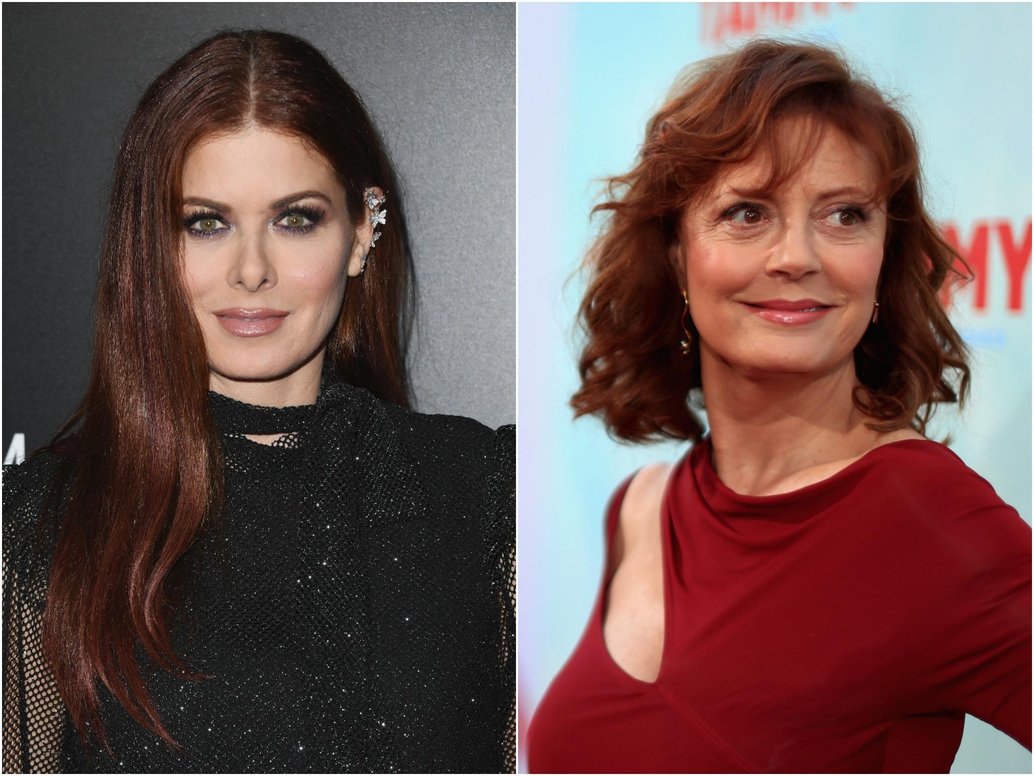 2050x1540 Susan Sarandon news, breaking stories and comment, Desktop