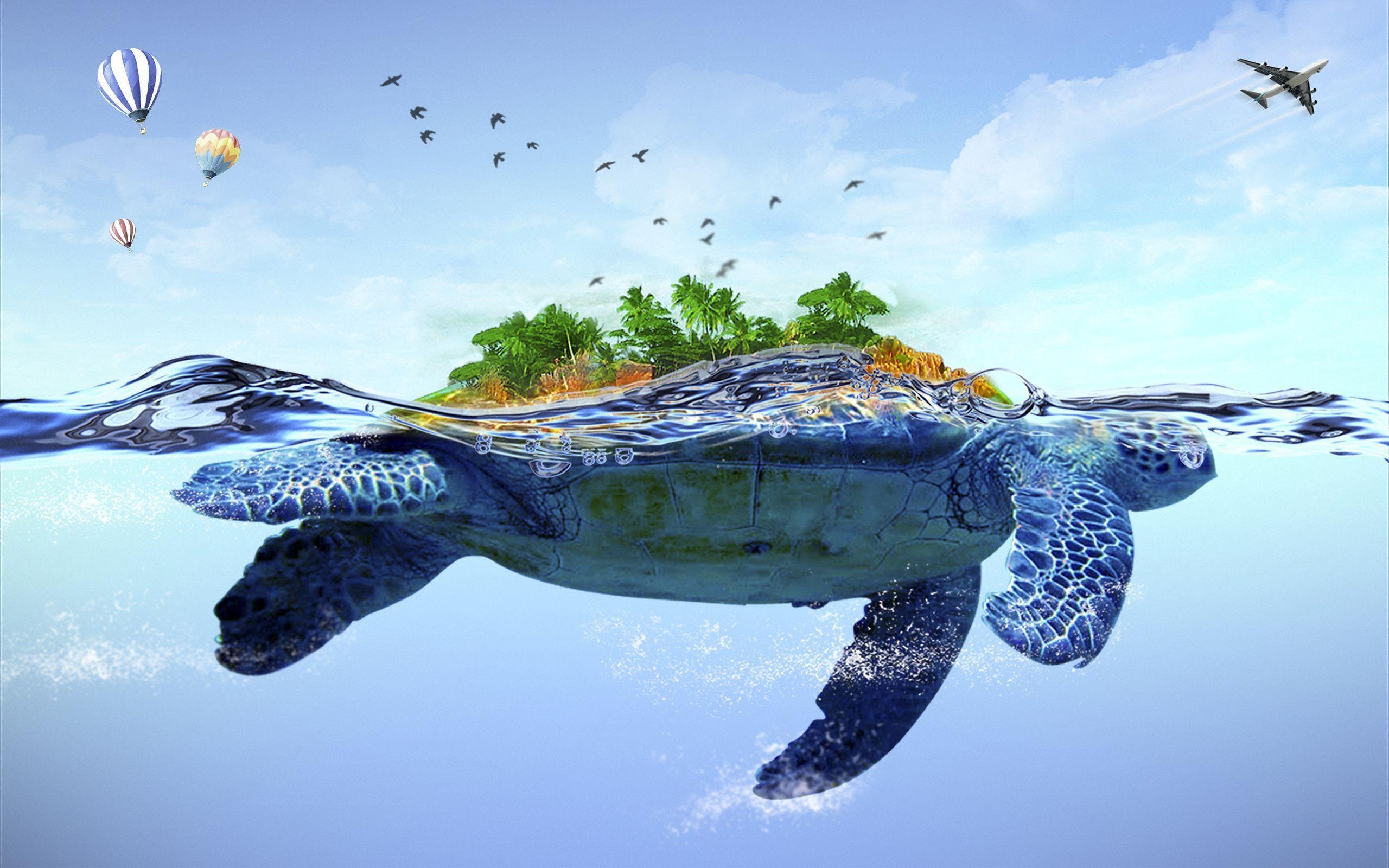 2560x1600 Turtle Wallpaper, Desktop