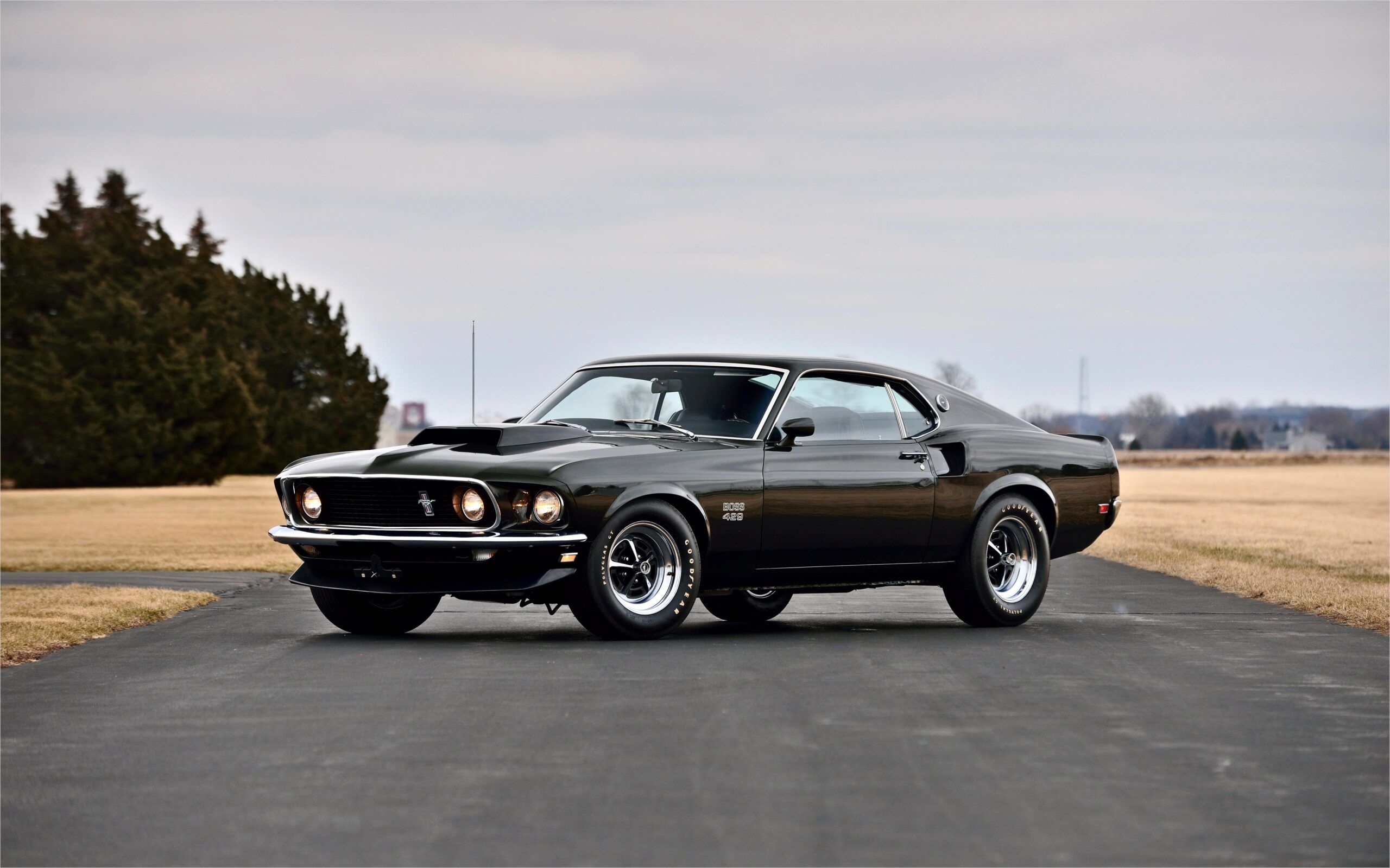 2560x1600 4k Car Muscle Wallpaper. Car wallpaper, Mustang boss, Desktop