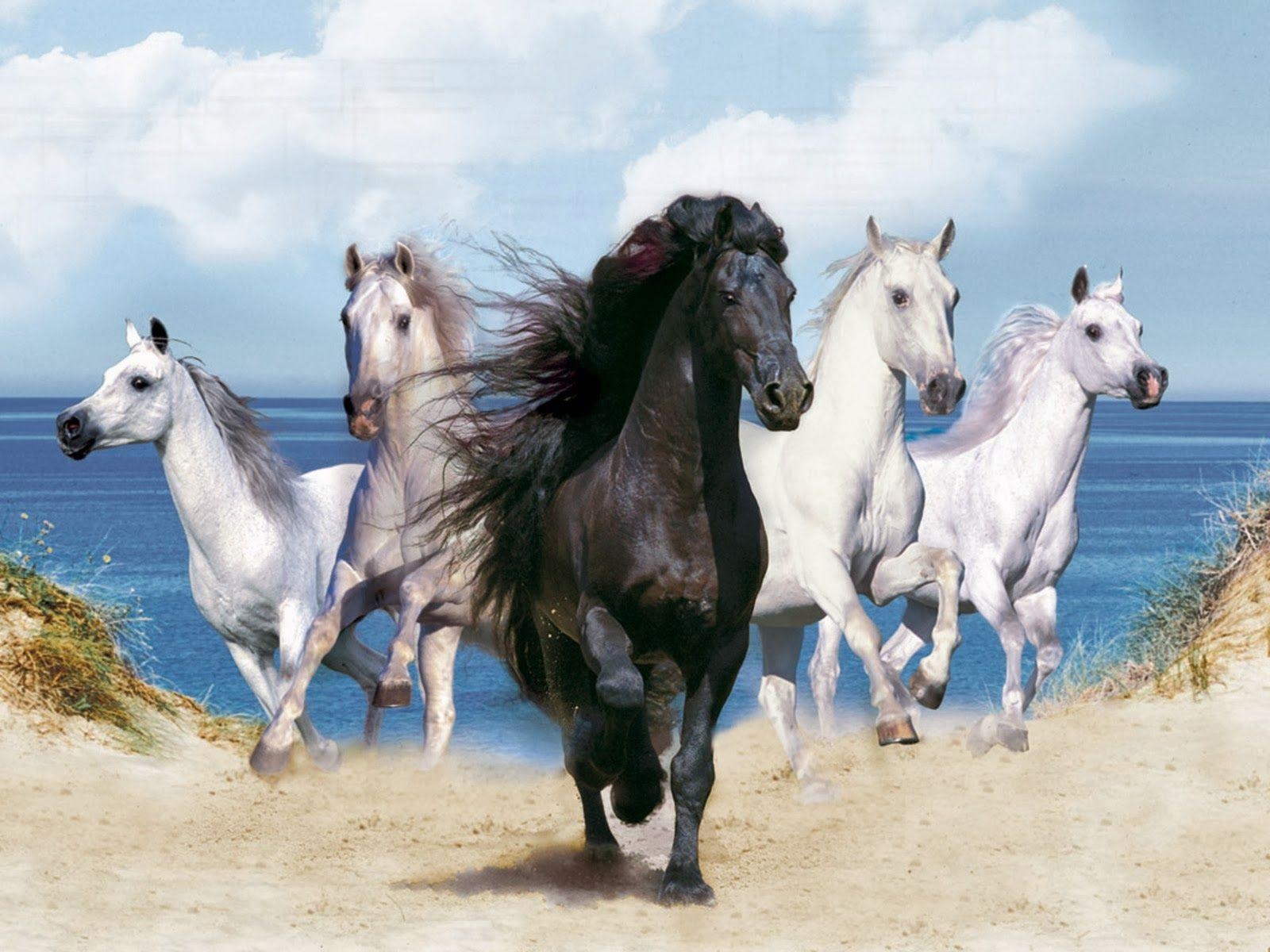 1600x1200 Running Horse Wallpaper 3 X 1200, Desktop