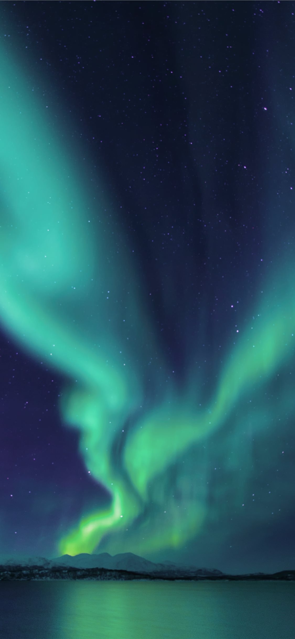 1130x2440 photograph of aurora lights iPhone X Wallpaper Free Download, Phone