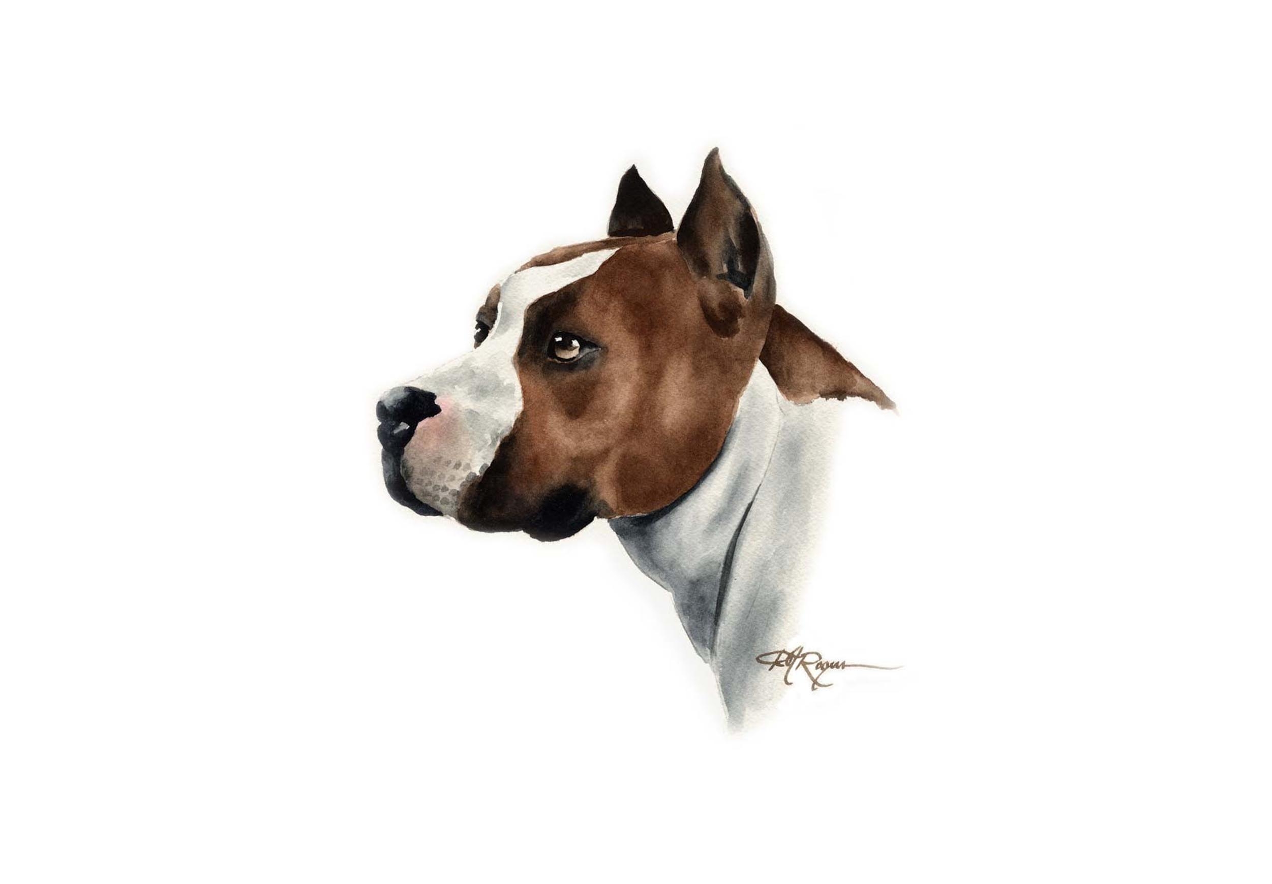 2510x1740 Painted pit bull wallpaper, Desktop