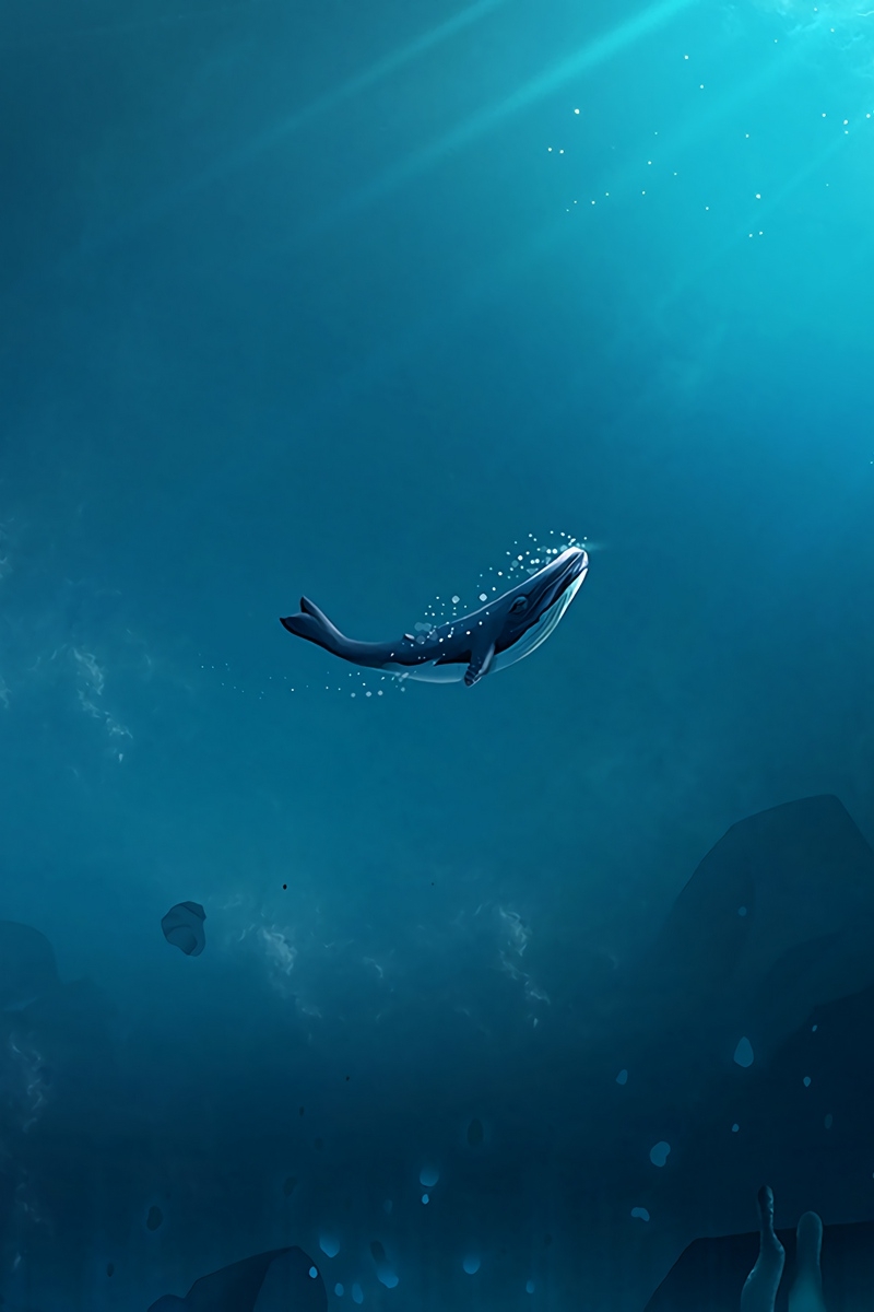 800x1200 Wallpaper Whale, Ocean, Underwater World, Air Bubbles, Ocean Wallpaper iPhone, Phone