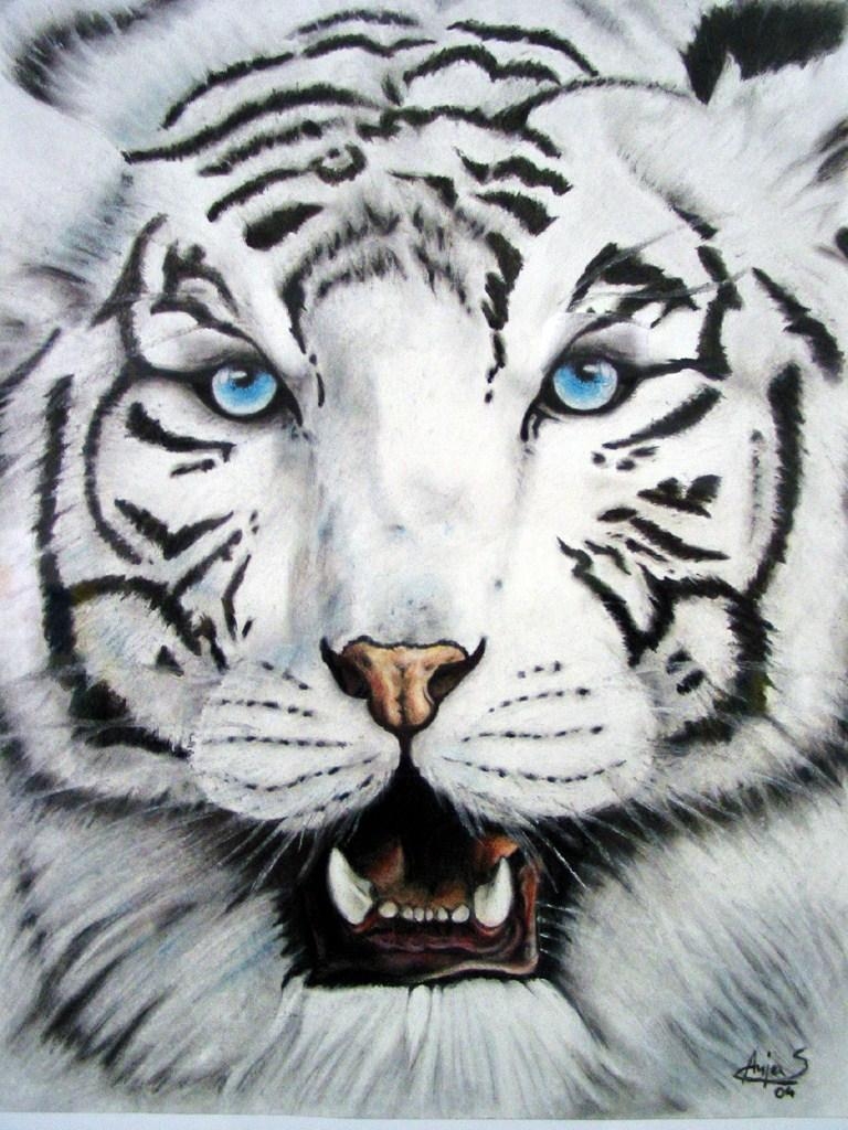 770x1030 White Tiger iPhone HD Wallpaper, Phone