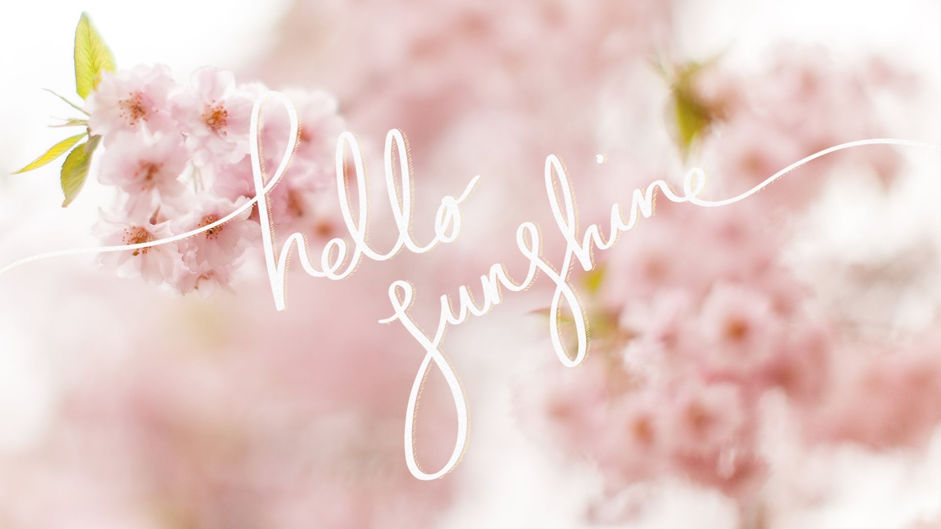 1920x1080 hello sunshine wallpaper. Spring desktop wallpaper, Spring wallpaper, Computer screen wallpaper, Desktop