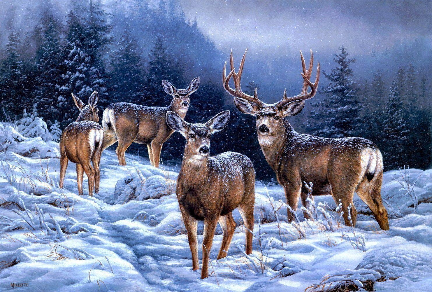 1490x1010 Reindeer Beautiful Wallpaper 4, Desktop